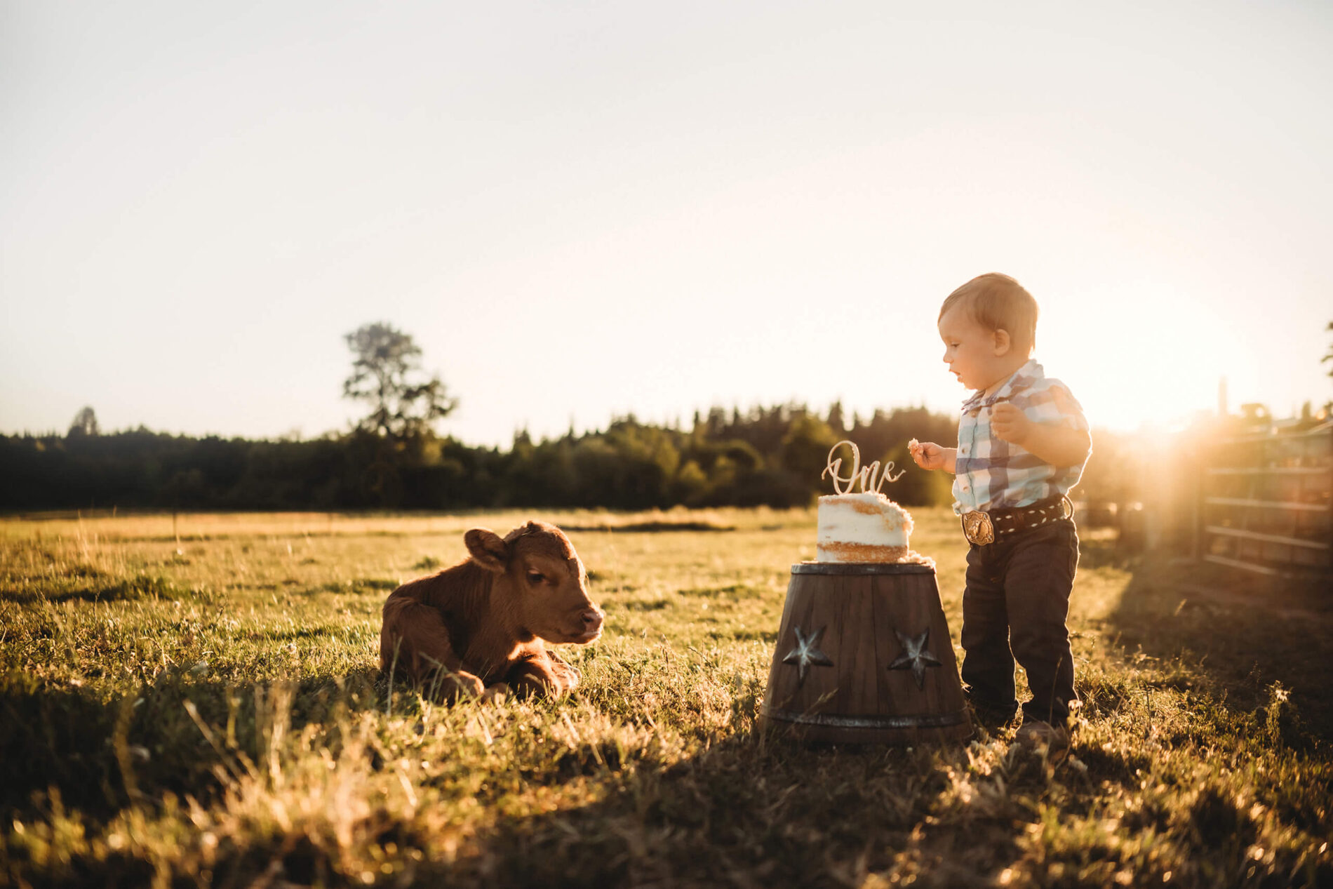 Unique cake smash photography outdoors
