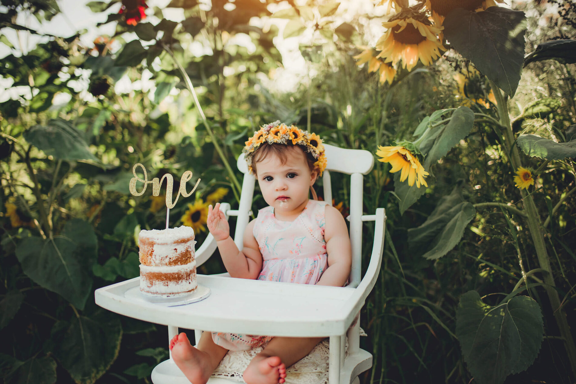 One-year cake smash photo session for a girl on a sunflower farm