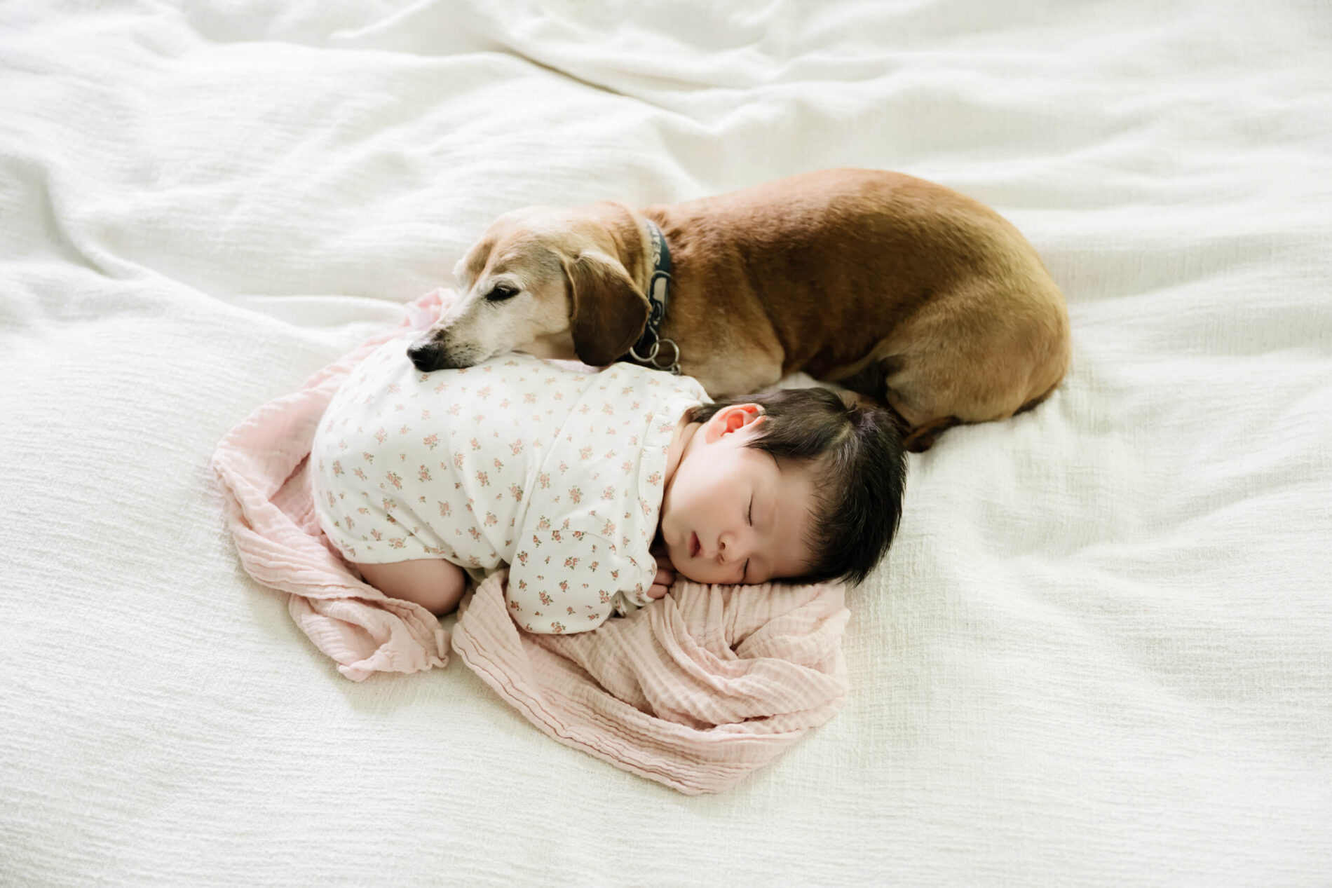 Unique newborn photo with pet