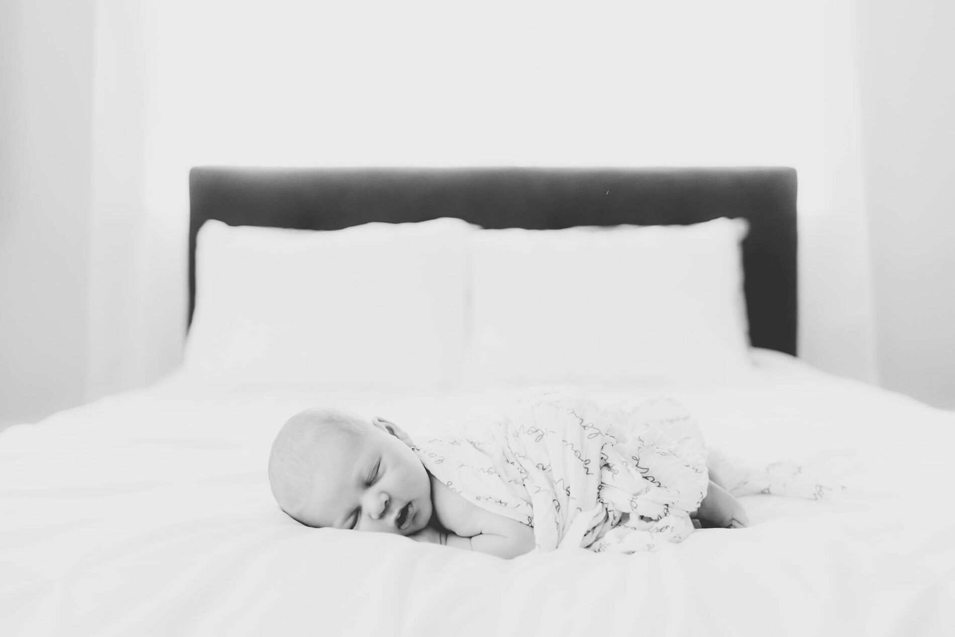 Infant photography in new work city