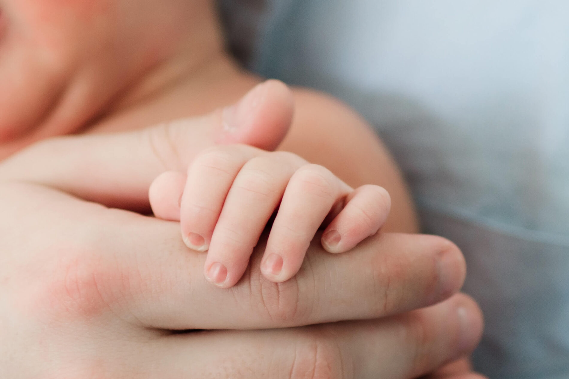 Professional newborn photos in NYC