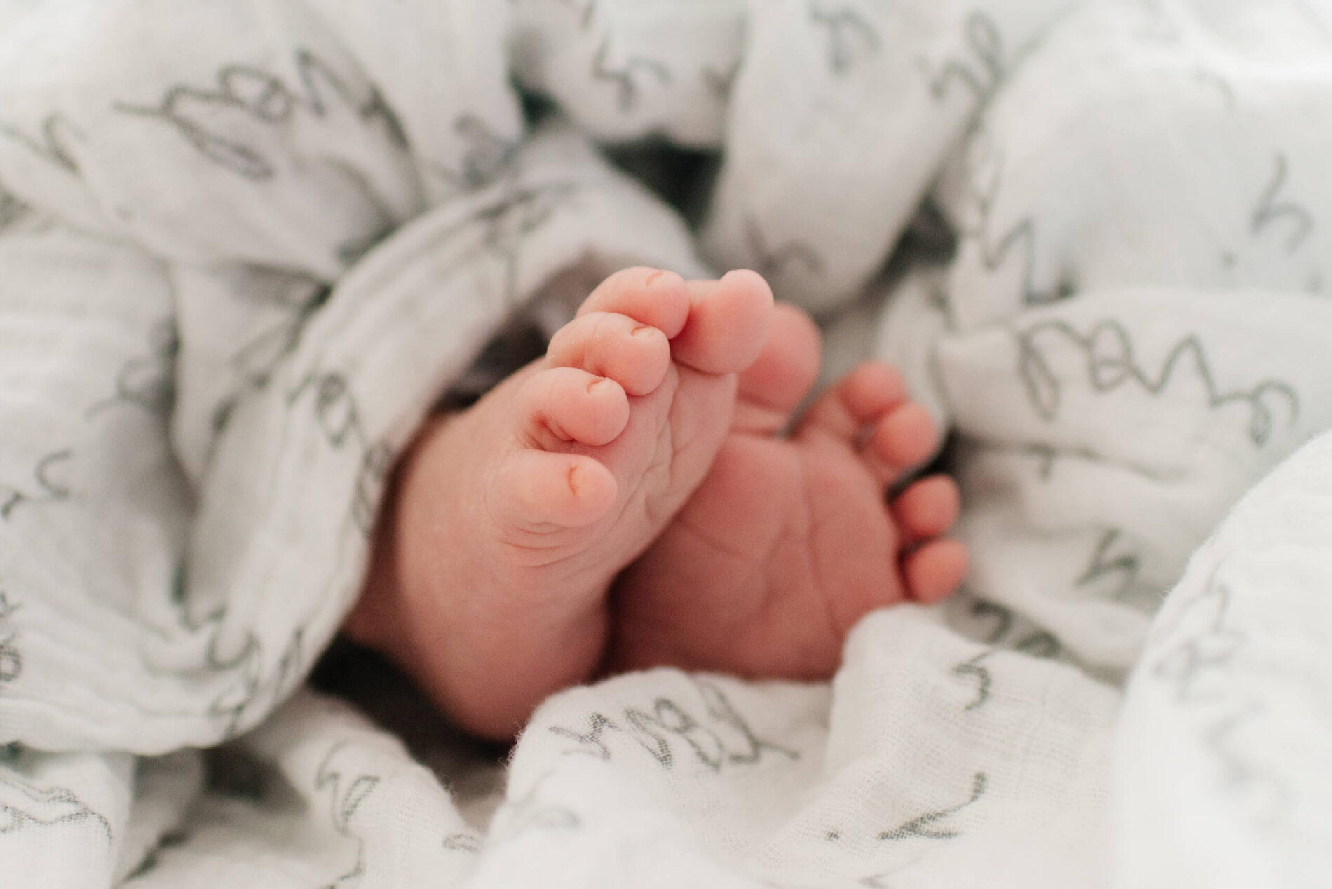 Newborn heirloom portrait