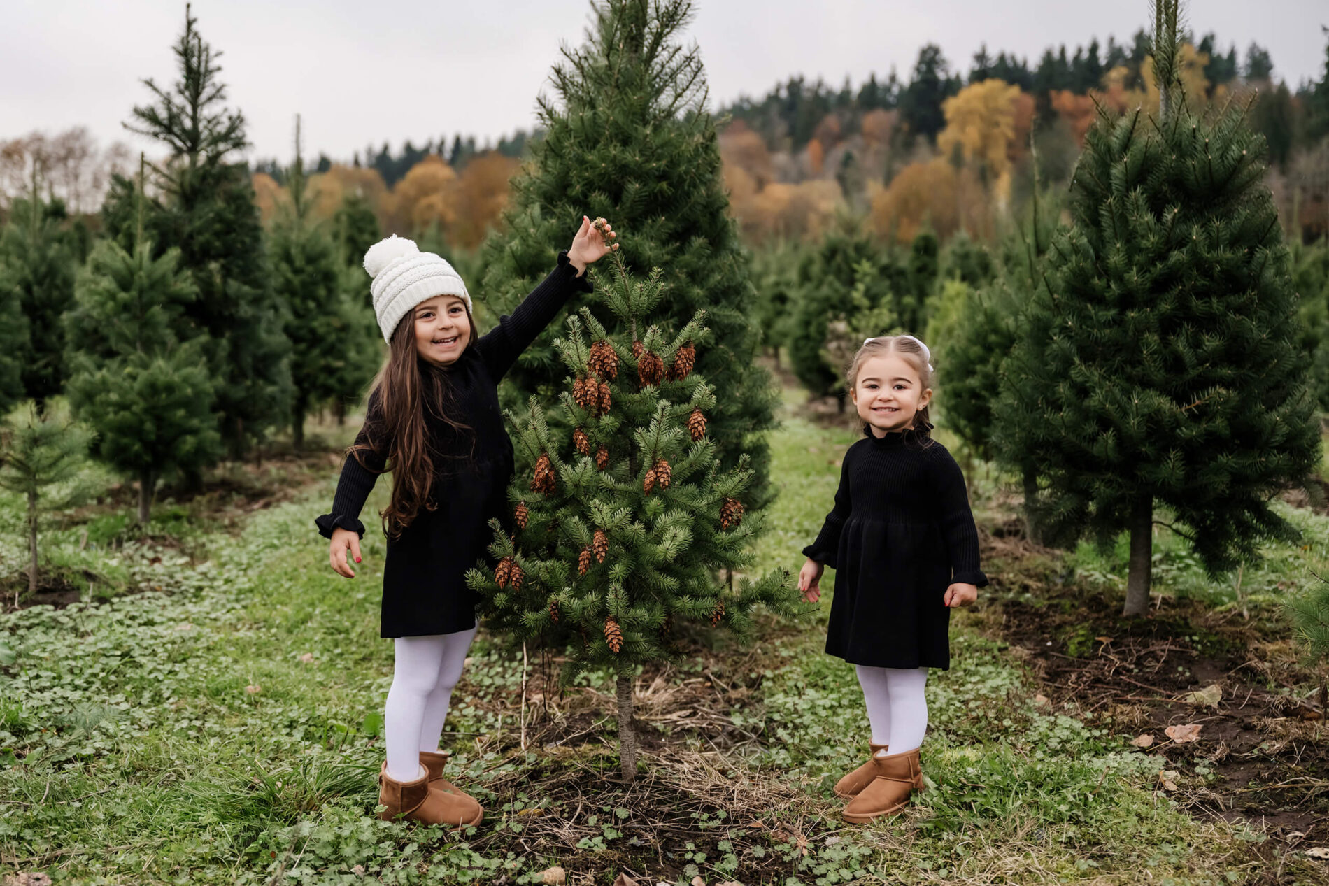 Two young siblings in black dresses having fun during photoshoot at a Christmas tree farm