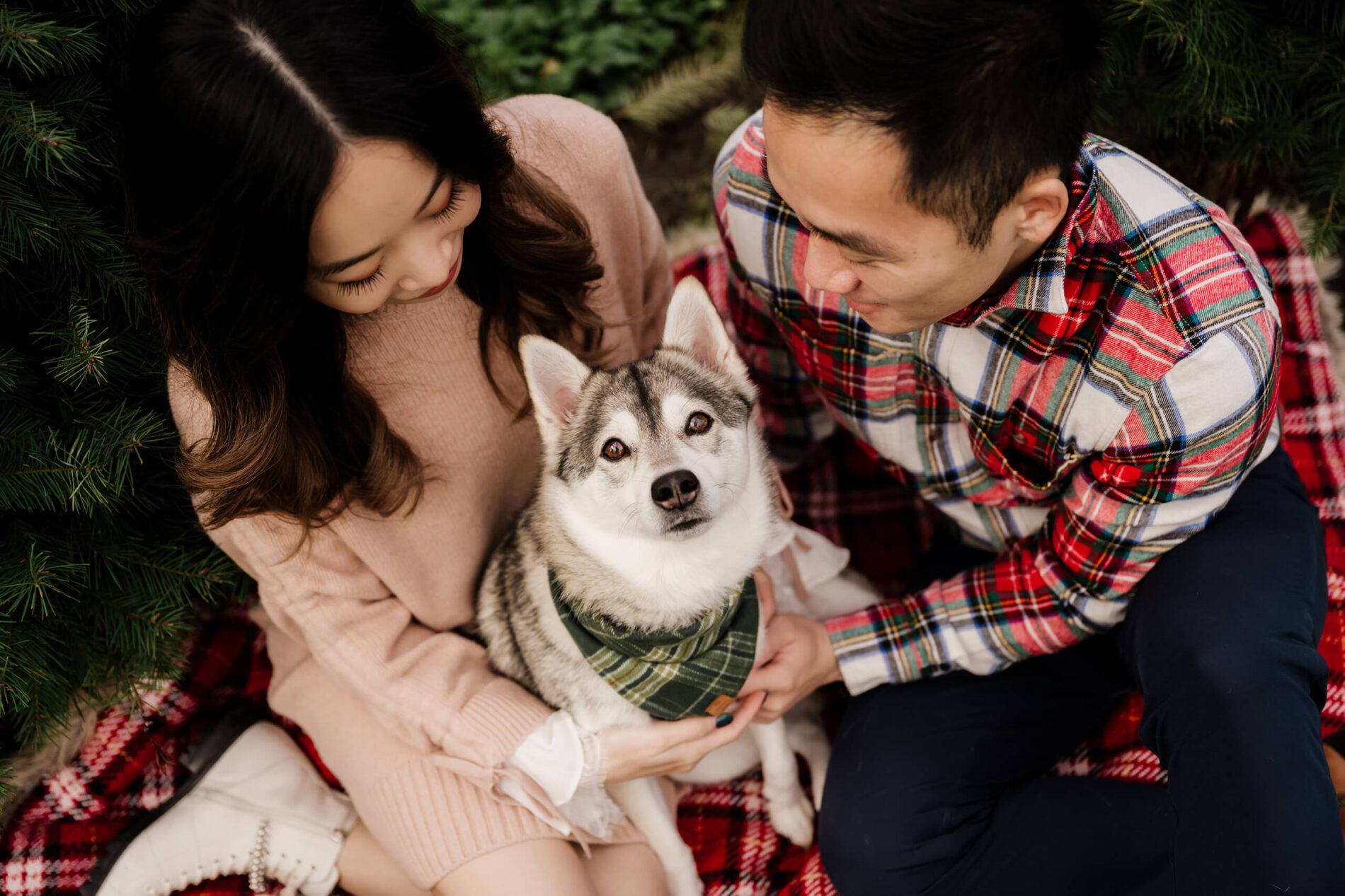 Couple in festive clothe with their dog during photoshoot at a Christmas tree farm