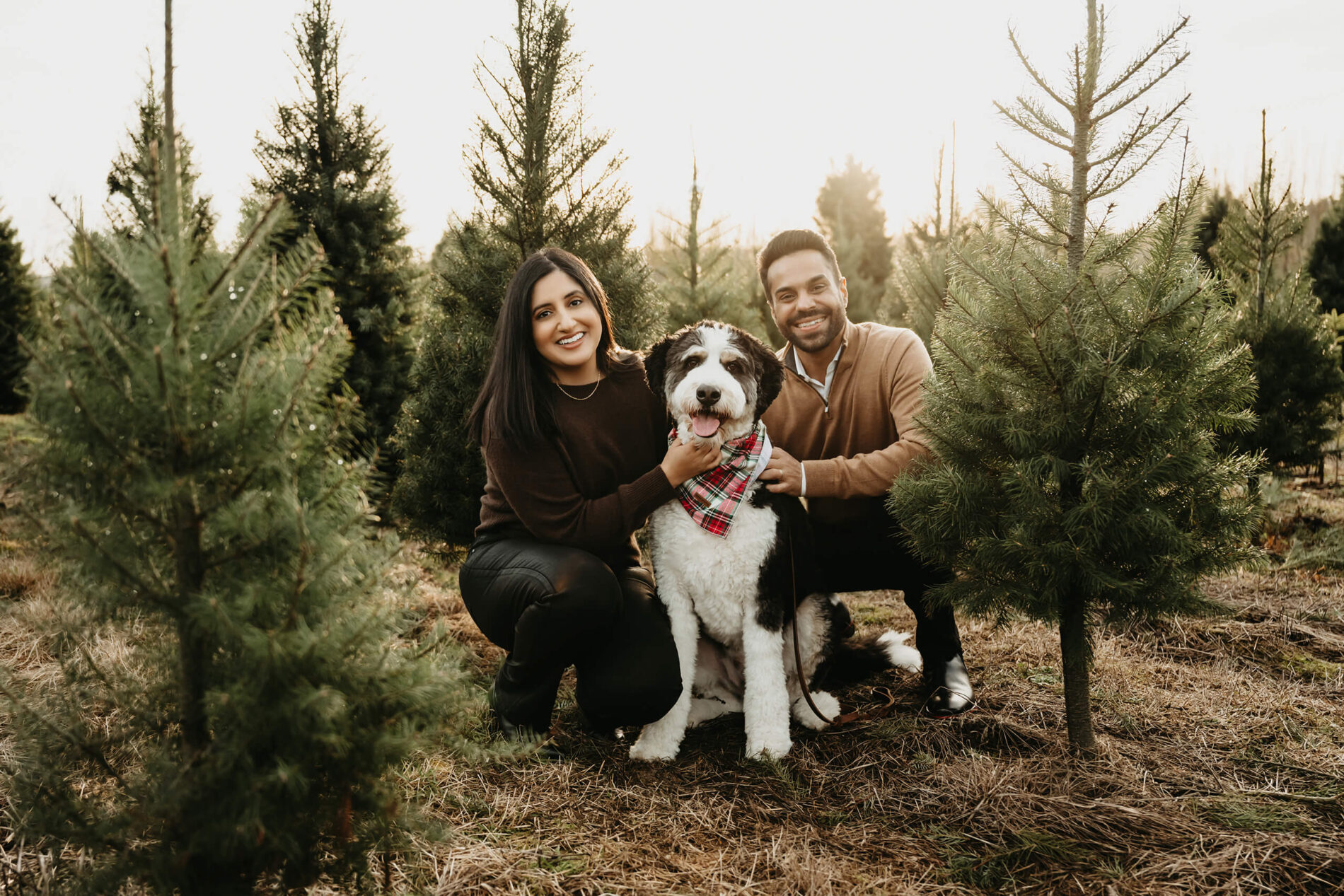 Idea of posing a young couple with a dog at a Christmas tree farm