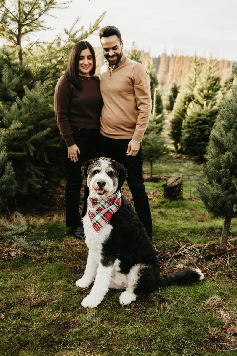 Christmas Tree Farm Family Photos: Outfit Tips & Posing Inspo