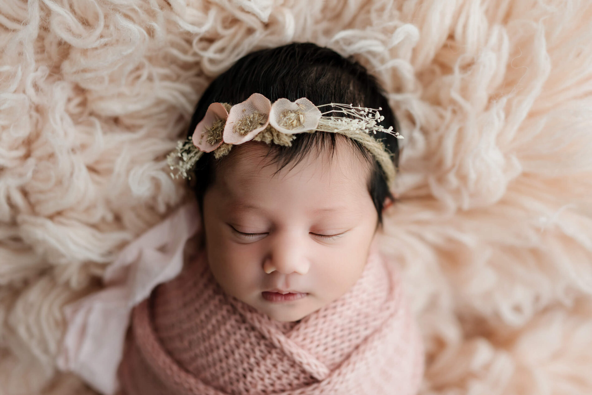 Newborn photography studio portrait