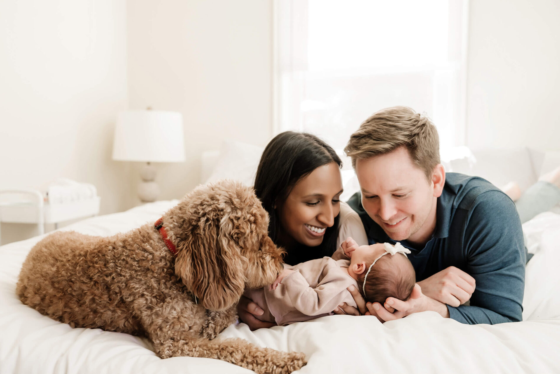 Parents cuddling with their daughter and dog during in-home newborn session