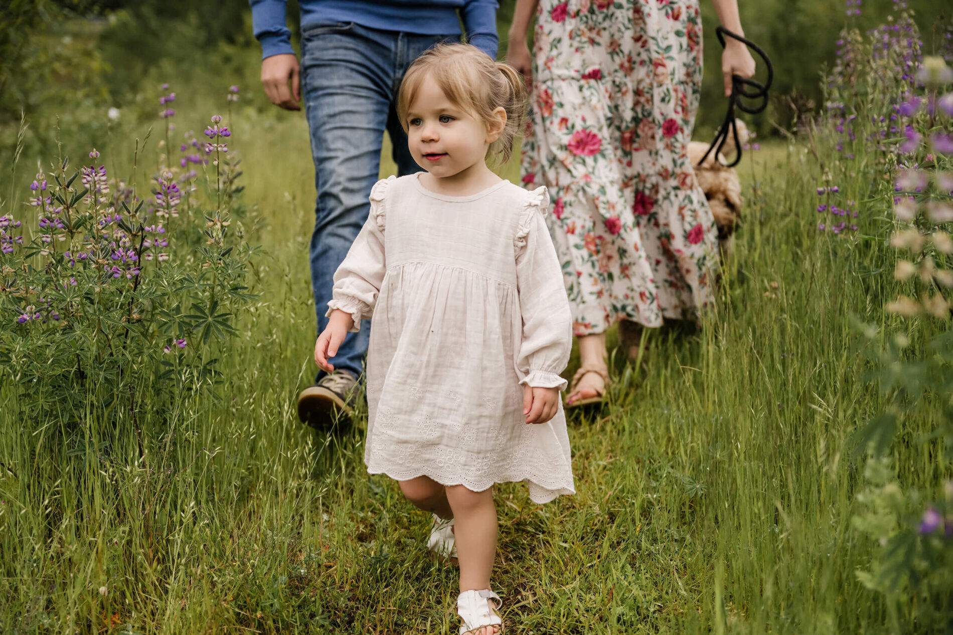 Family walking through a field of lupines during photoshoot in Seattle