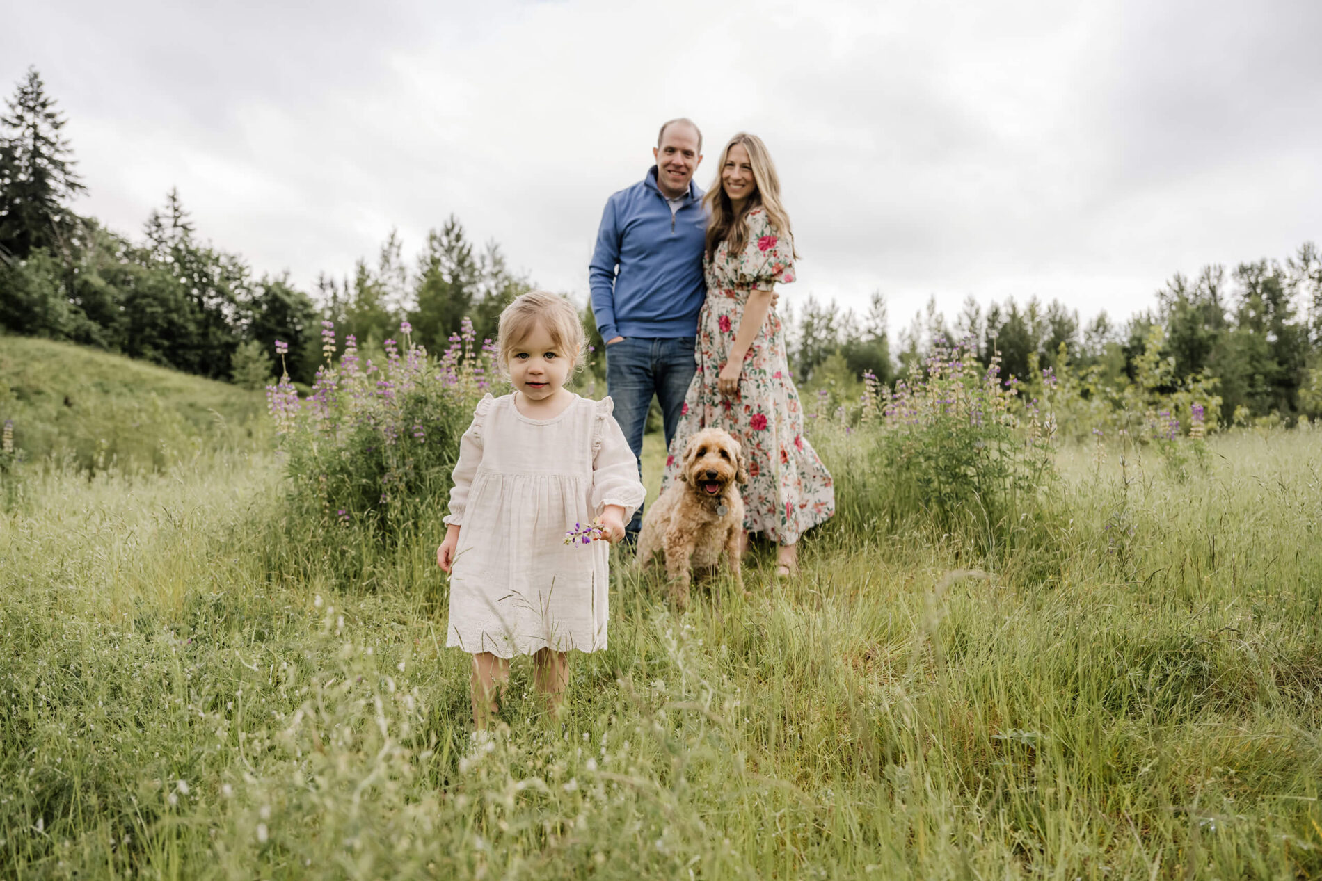 Seattle family photography in a lupine field with a dog