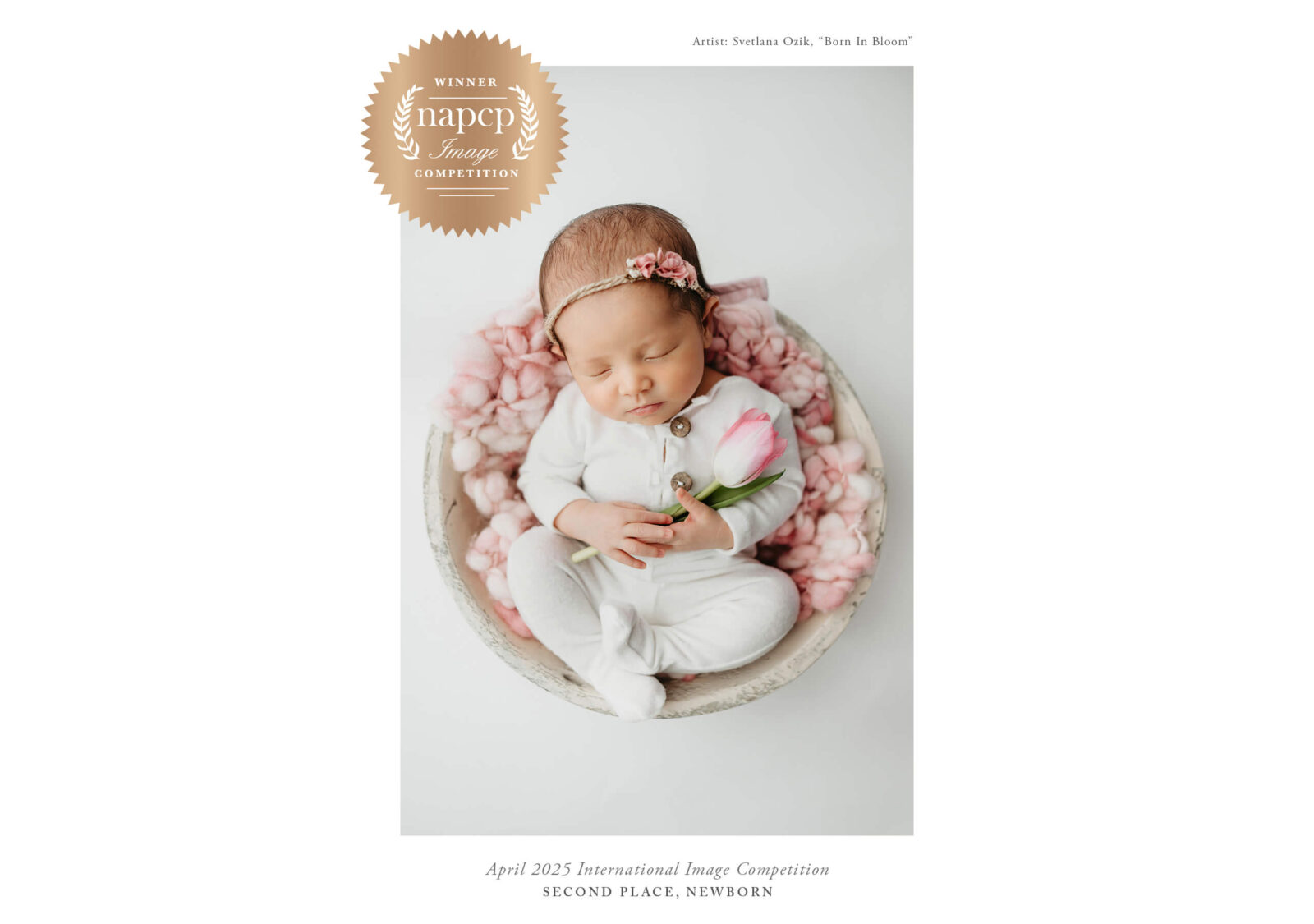 Sleeping newborn in a white romper, tiny fingers wrapped around a single blush tulip, nestled in a bowl lined with pink wool.