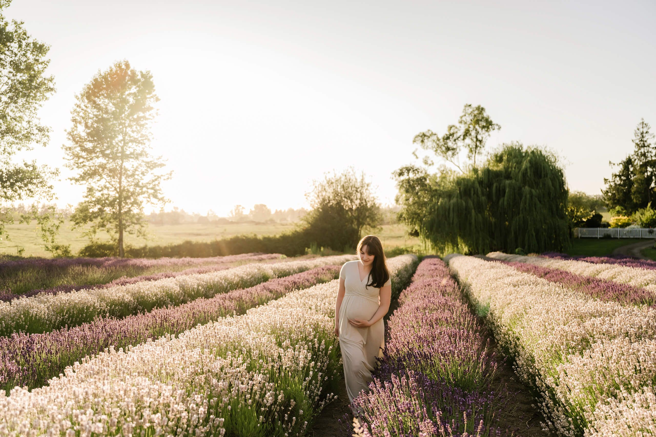 Pregnant woman walking through lavender field during a maternity photoshoot in Seattle