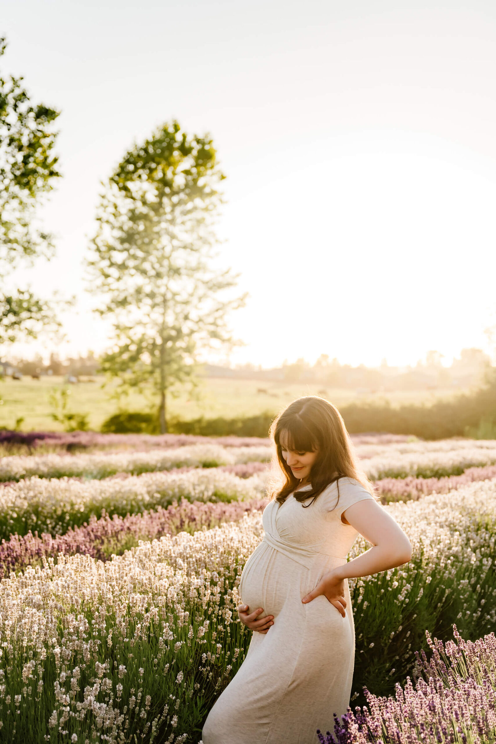 Seattle Summer Maternity Sessions at a Lavender Farm