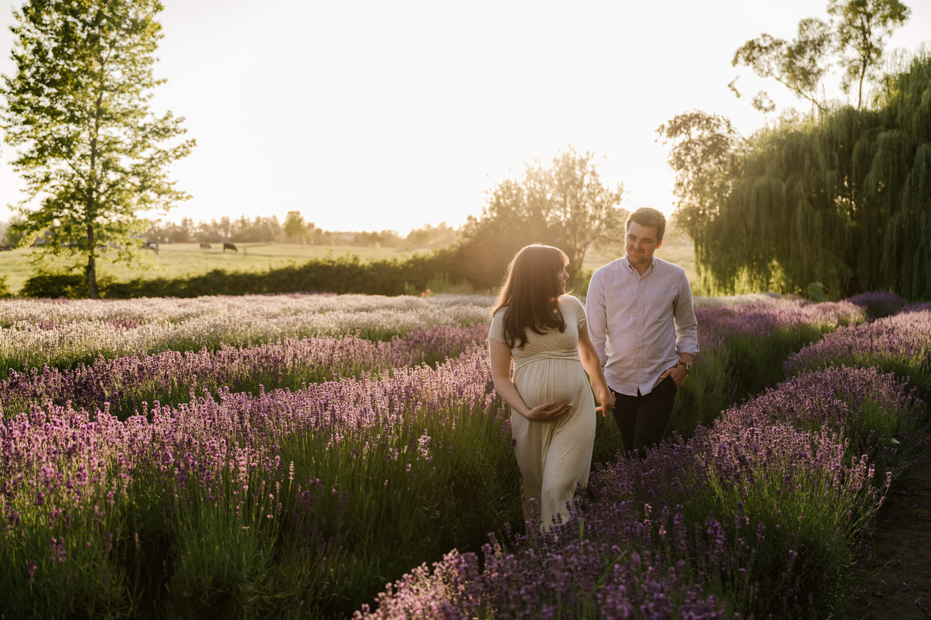 Expecting couple holding hands, strolling between rows of purple lavender as warm golden light flares behind them.