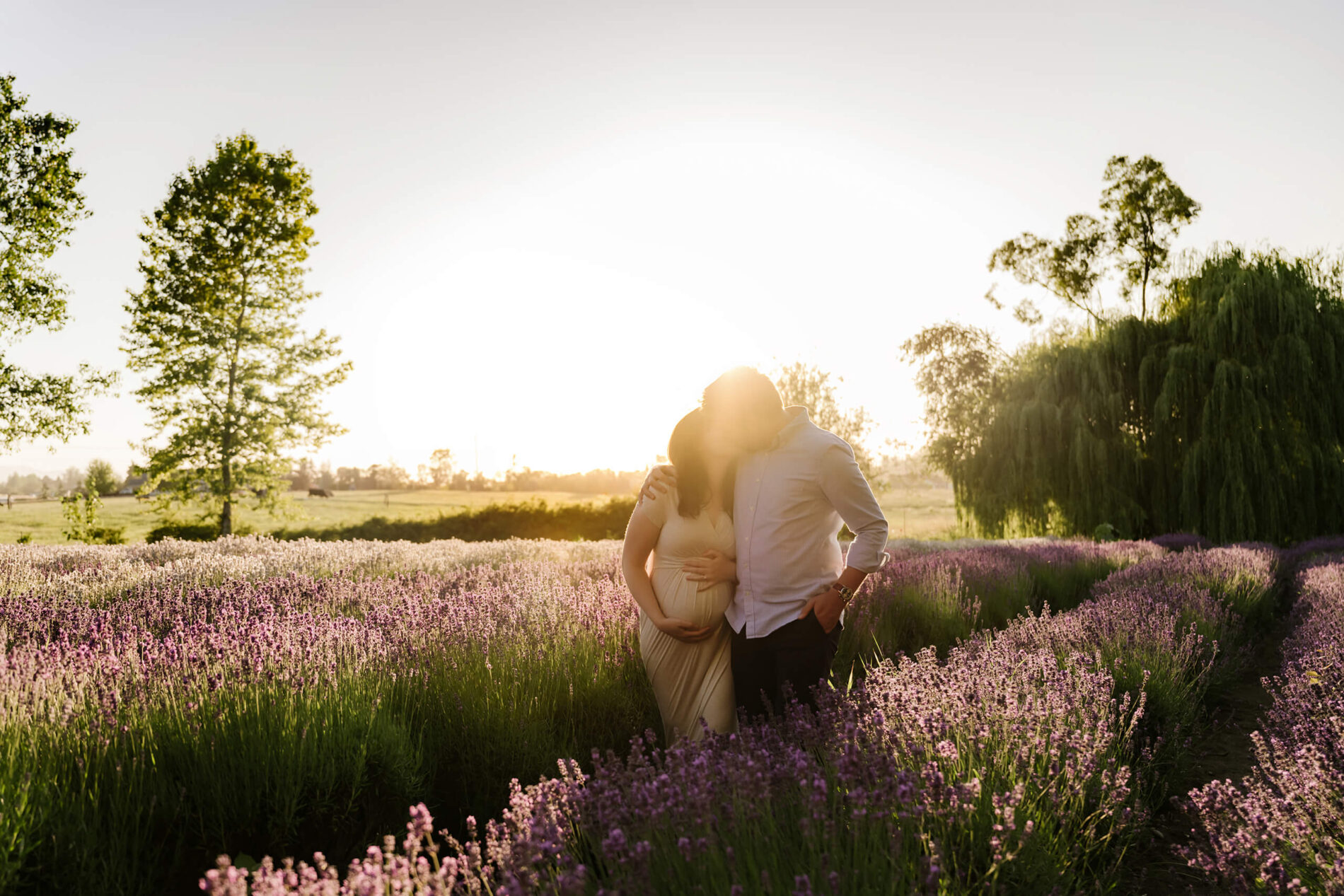 Pregnant couple sharing a gentle kiss amid rows of blooming lavender, golden sunset light wrapping around them.