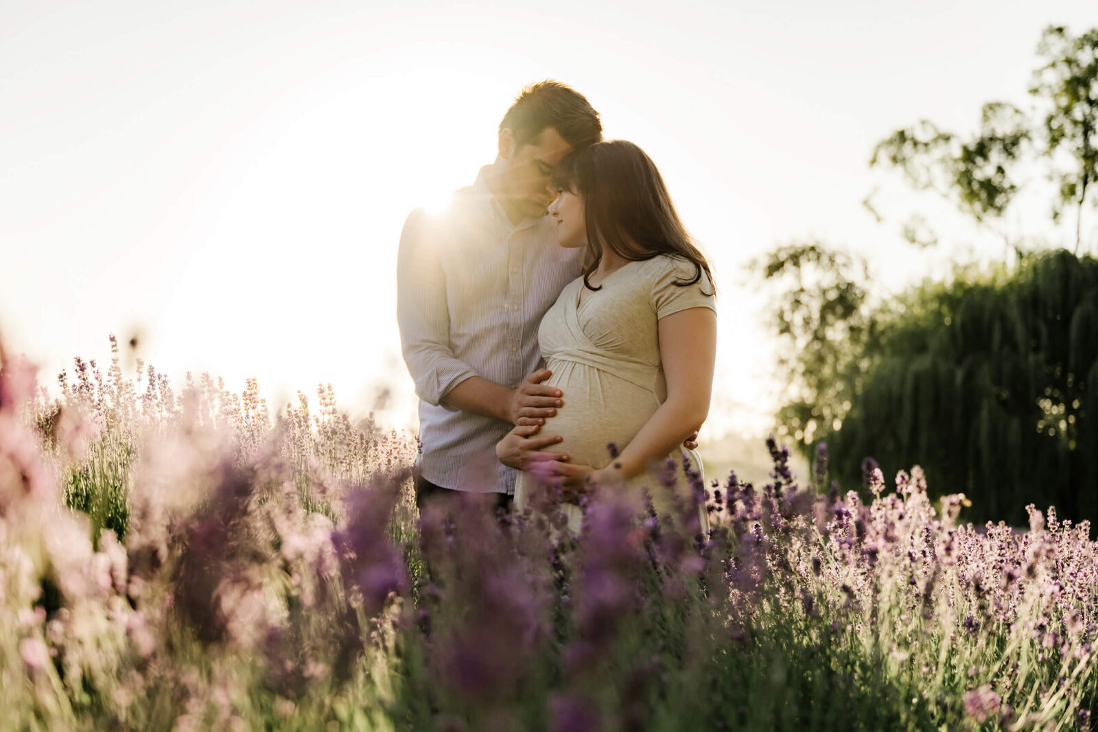 Expecting parents wrapped in a close embrace between lavender rows, warm sunset light softly backlighting them.