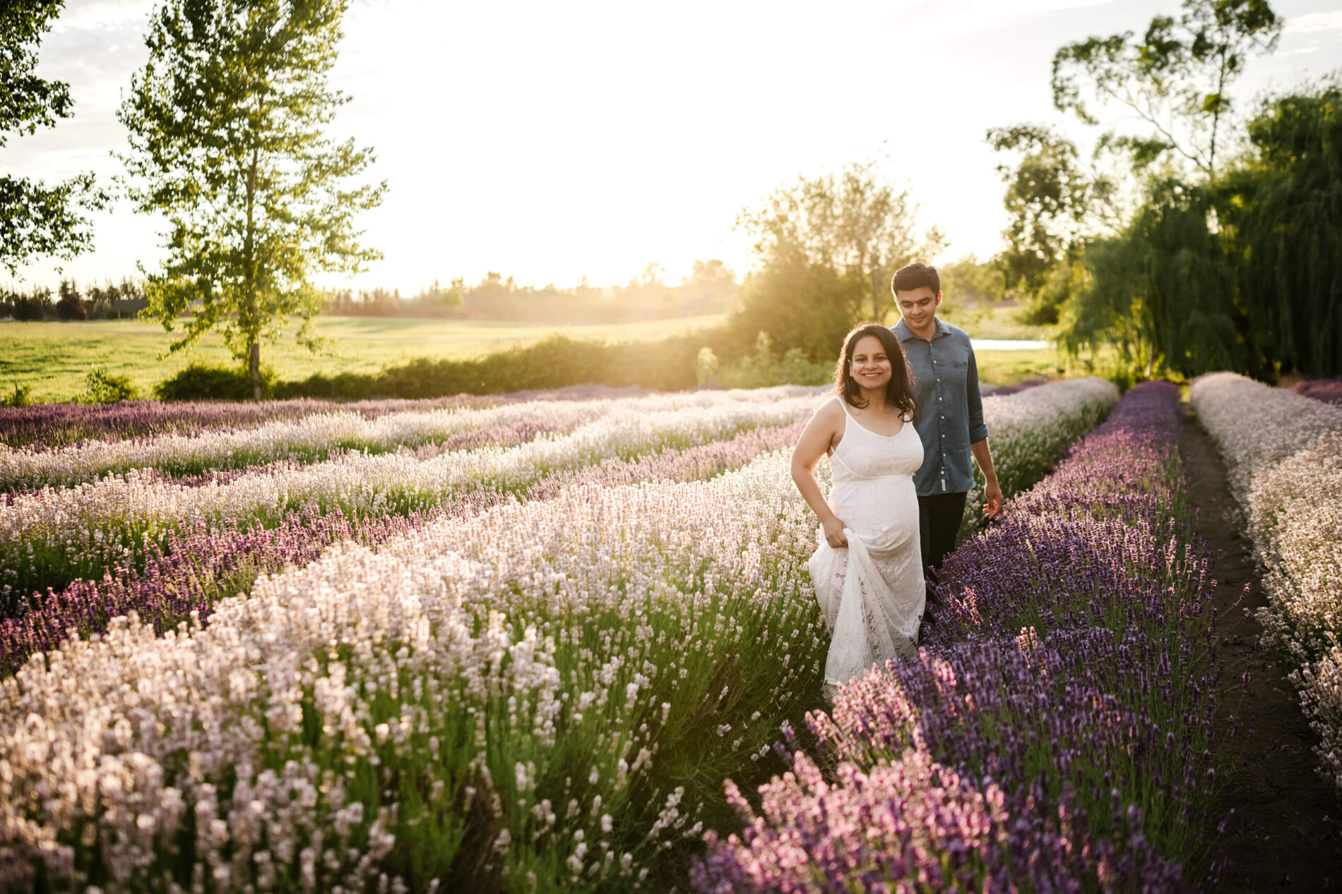 Candid moment of pregnant woman guiding her partner through lavender blossoms, in the evening light.