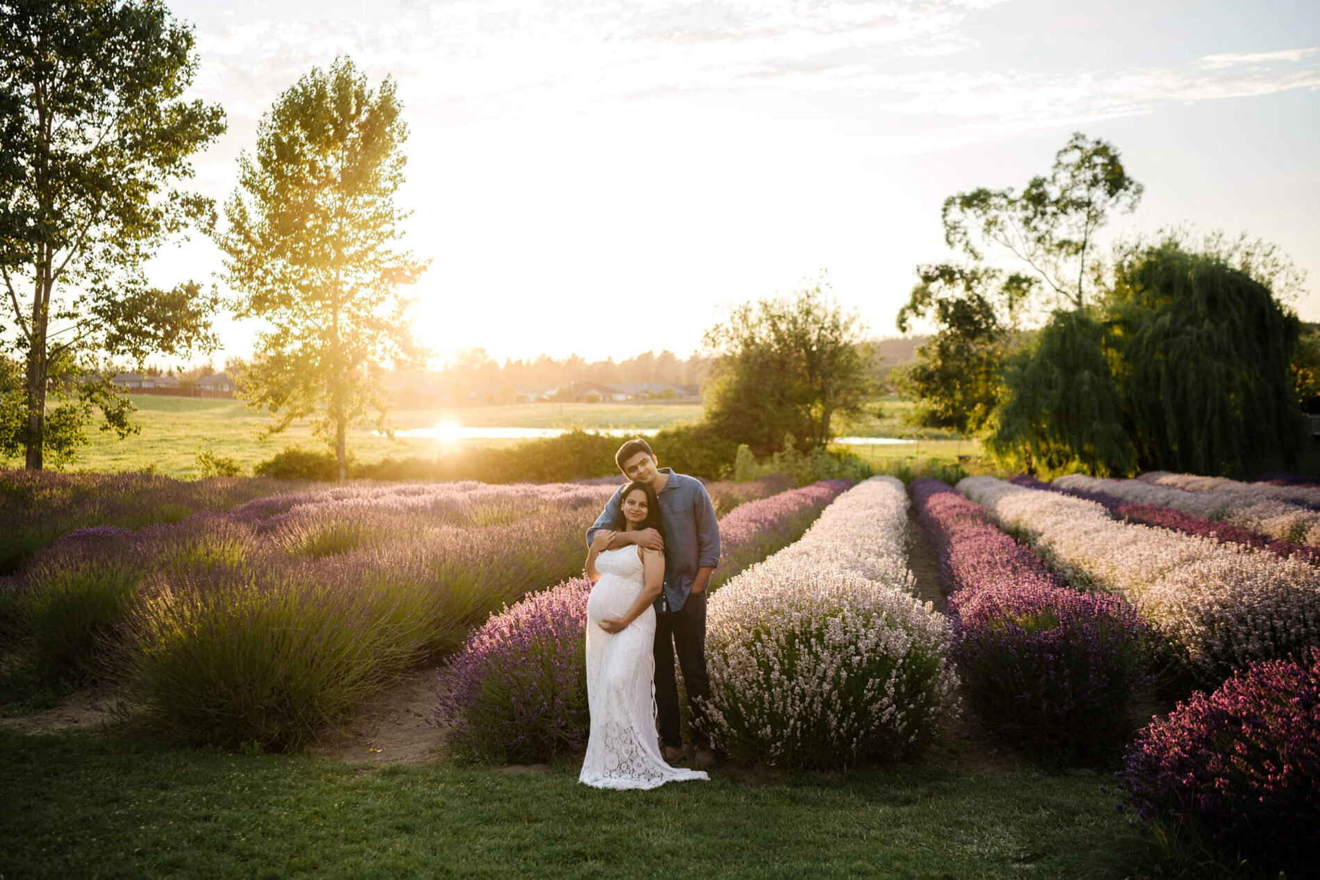 Wide shot of couple hugging in private lavender farm, golden rays back-lighting them and the blooms.