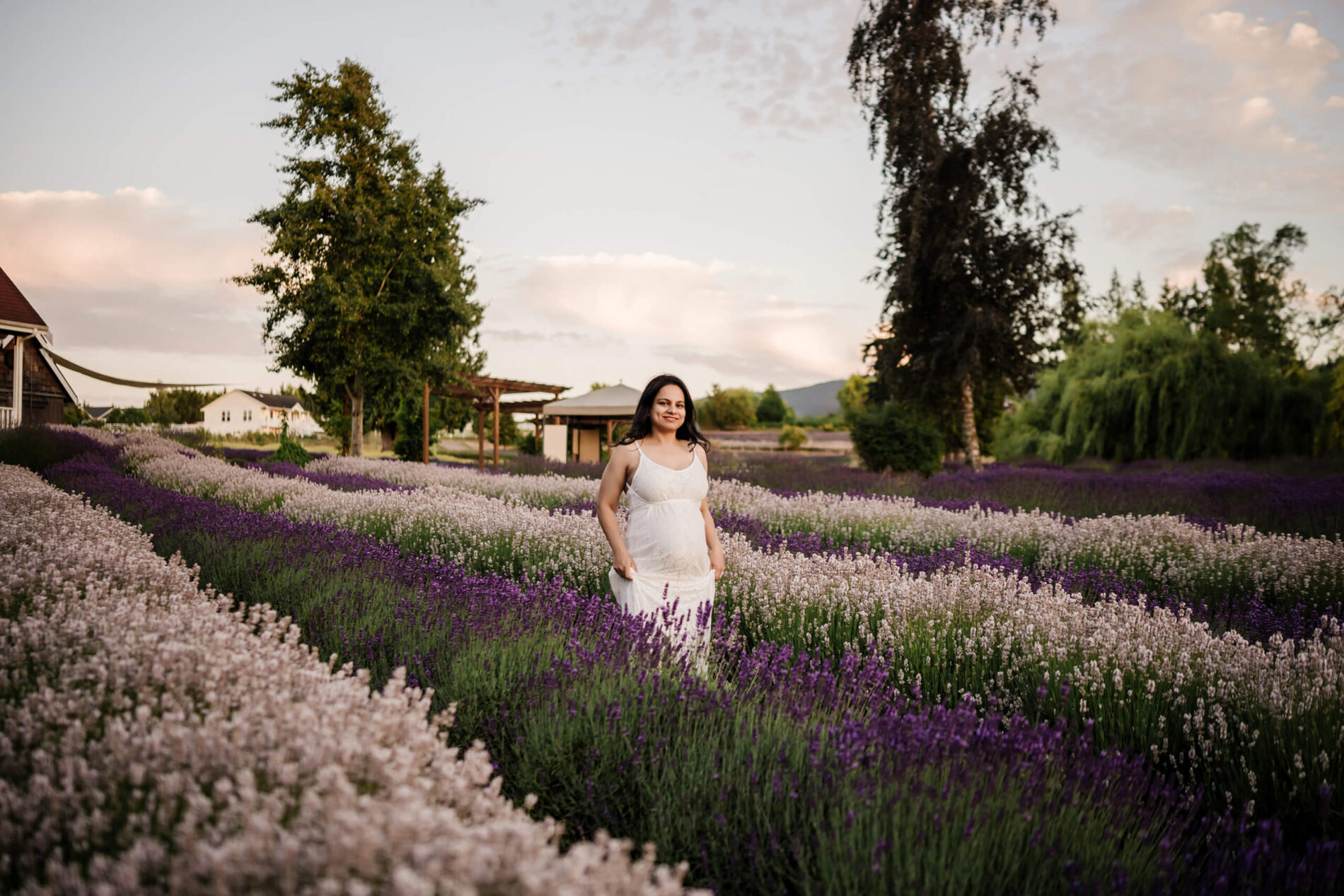 Pregnant woman in white dress walking through lavender rows at sunset