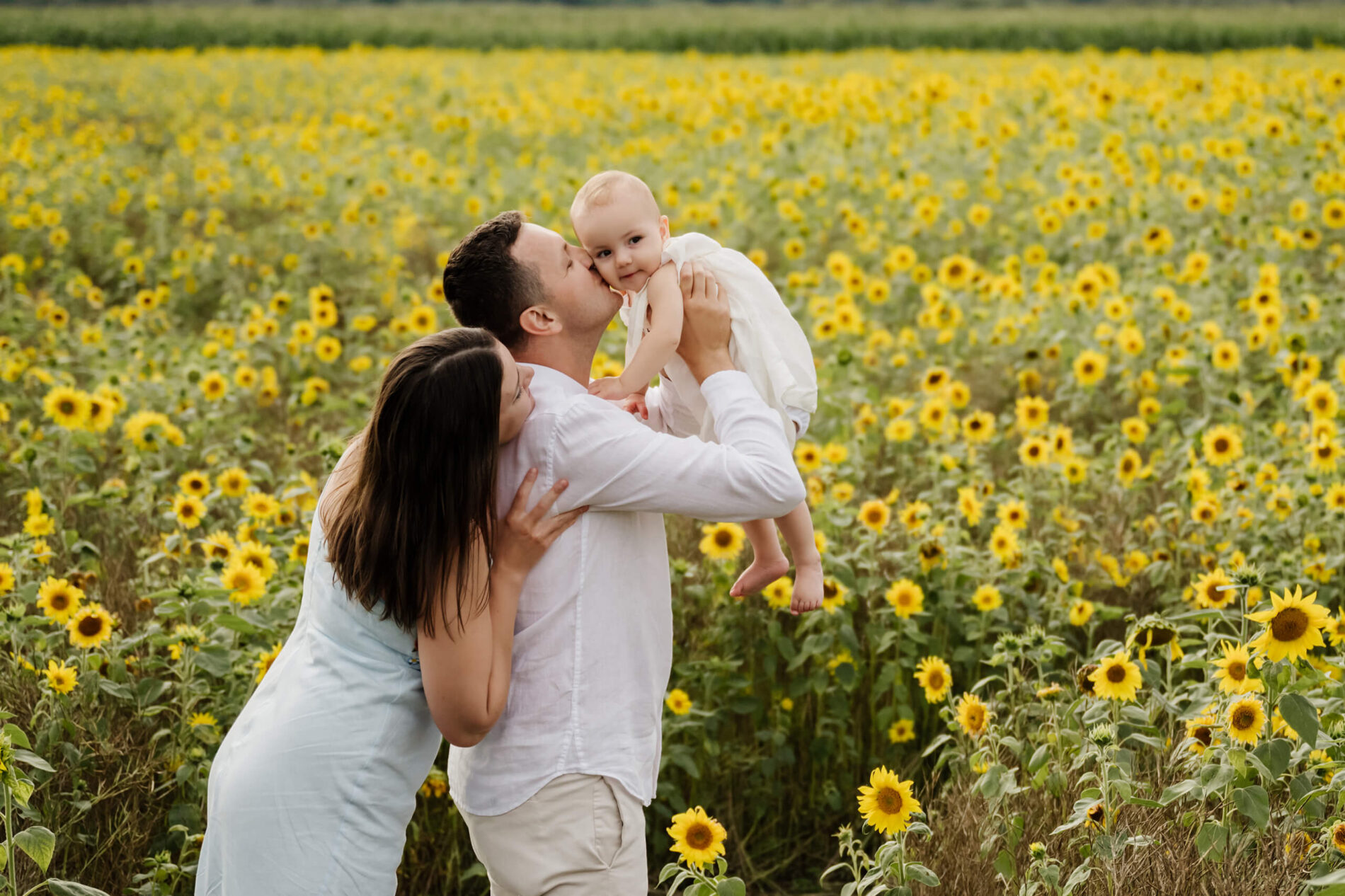 Father kisses his baby’s cheek as the mother hugs him from behind, all framed by dense yellow sunflowers.