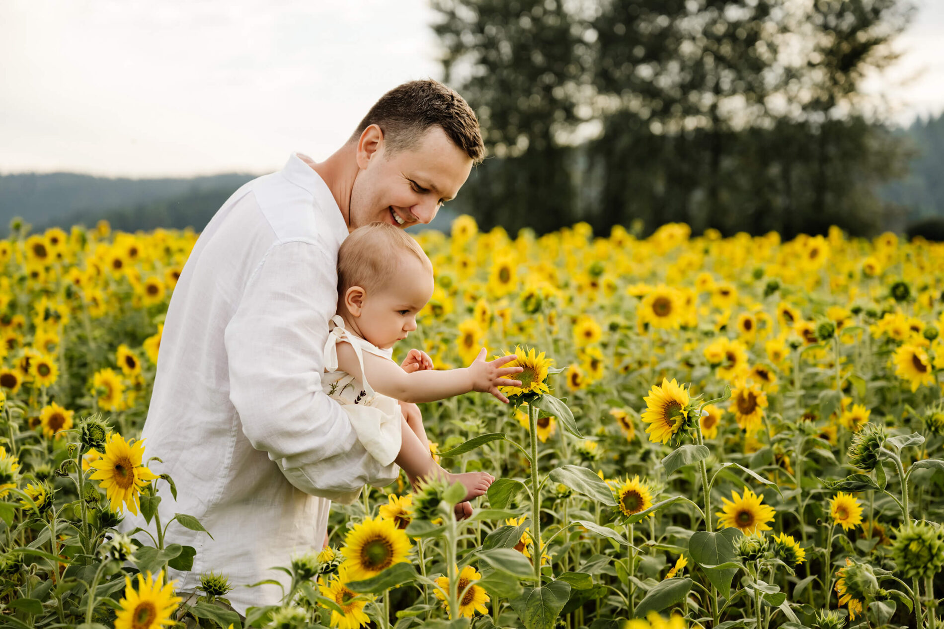 Father leans forward, guiding his baby’s hand to gently touch a sunflower in the golden field.