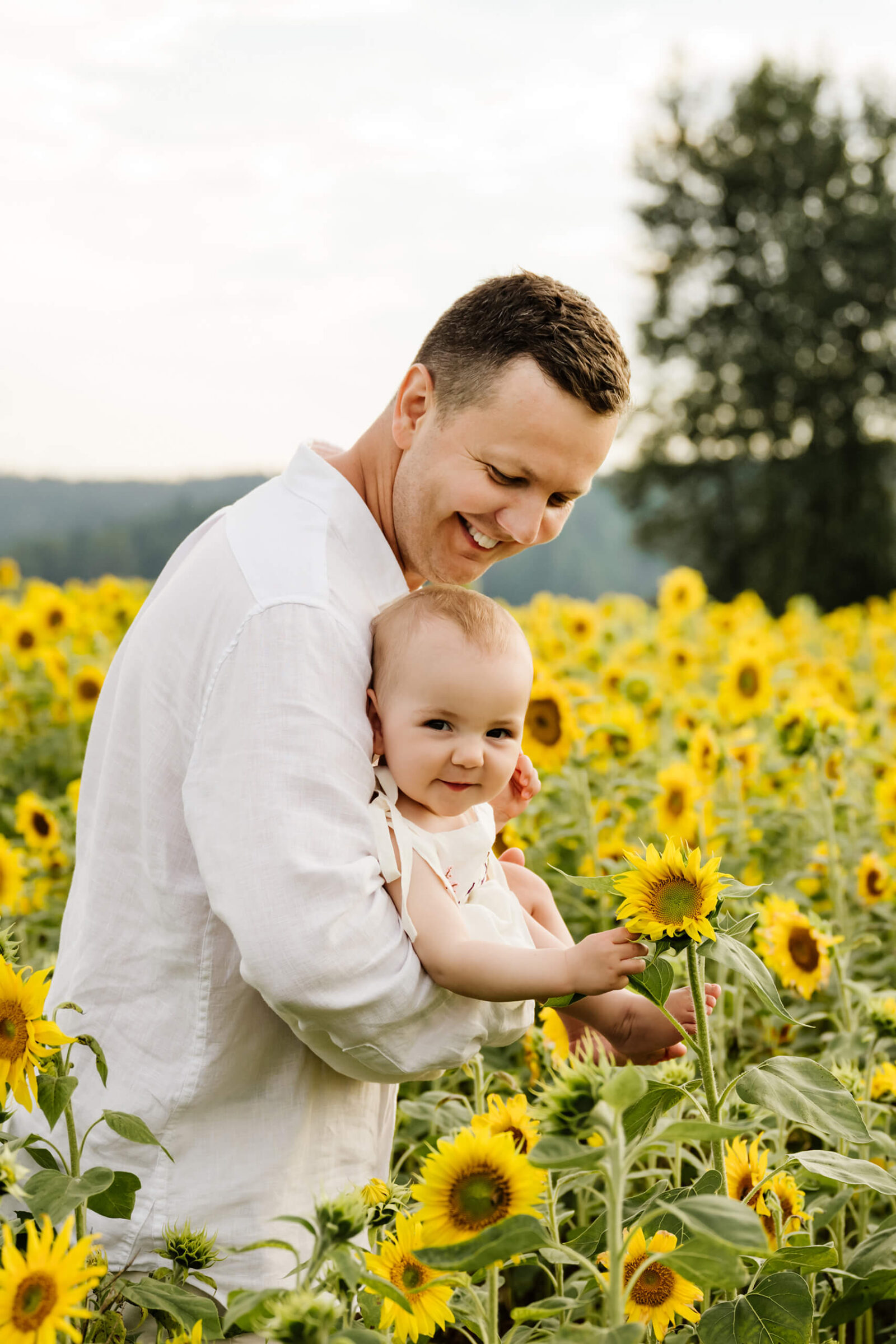 Close-up of father cradling a grinning baby who reaches for a sunflower, rows of blooms stretching out behind them.