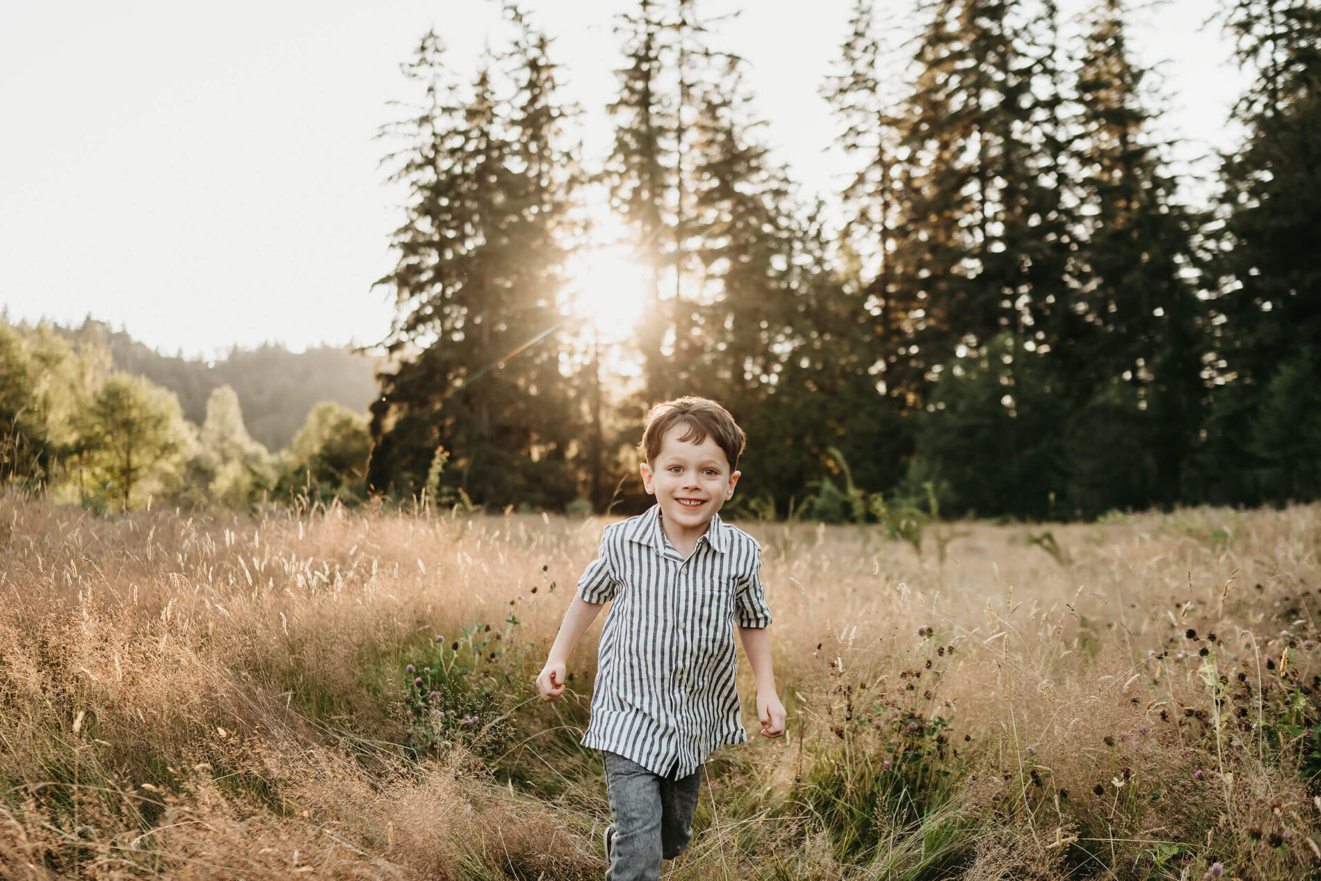 Young boy running toward the camera through golden meadow grass, evergreen backdrop glowing in late-day sun.