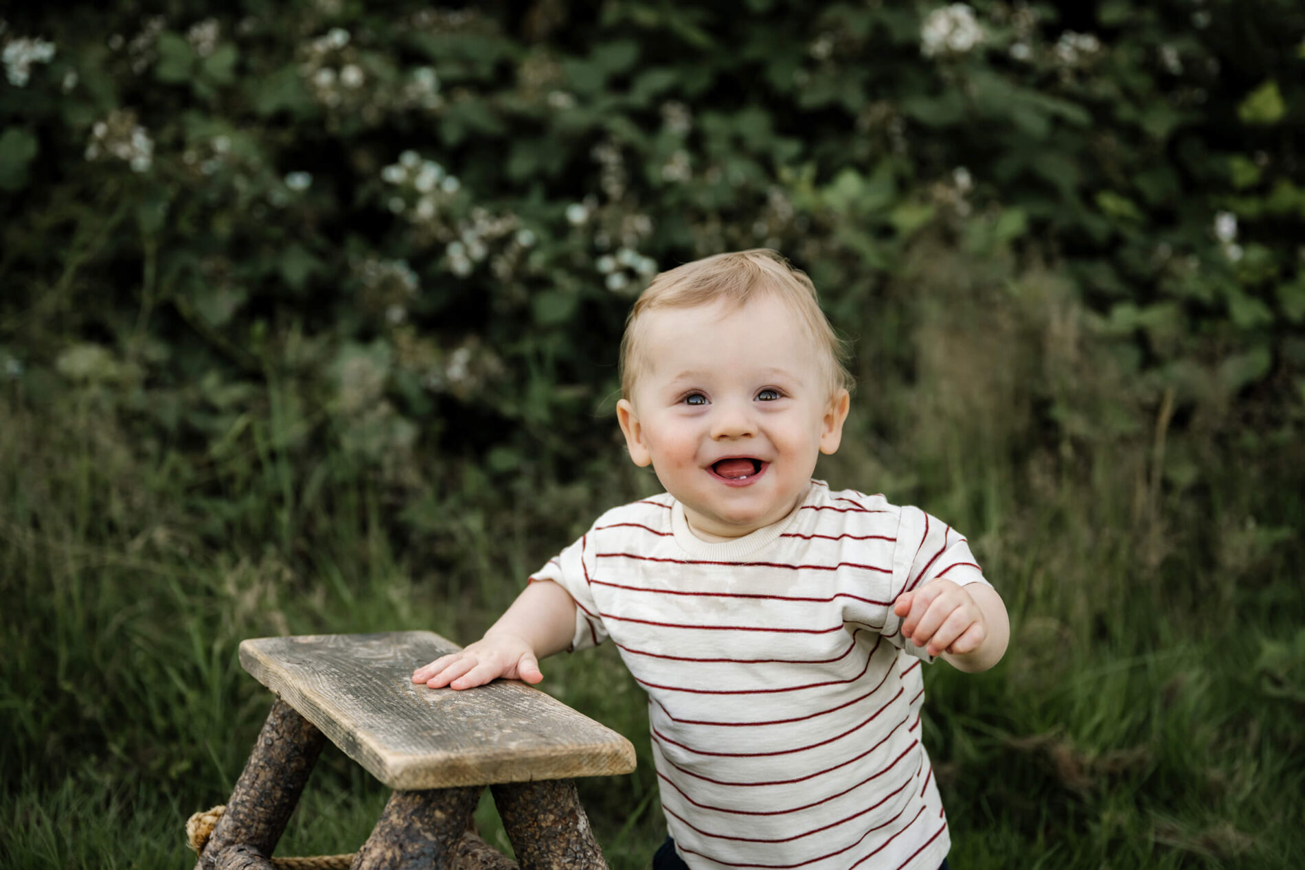 Happy baby takes a step while holding a small wooden stool, wild blackberry bushes softly blurred behind.