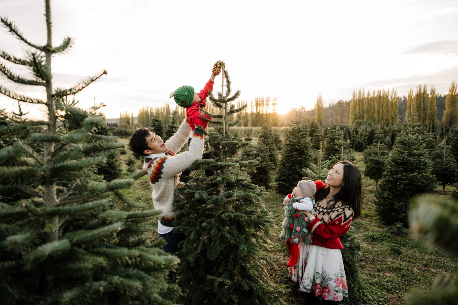 Father lifting child to decorate tree – Seattle holiday portraits of dad and son placing an ornament at a Christmas tree farm.