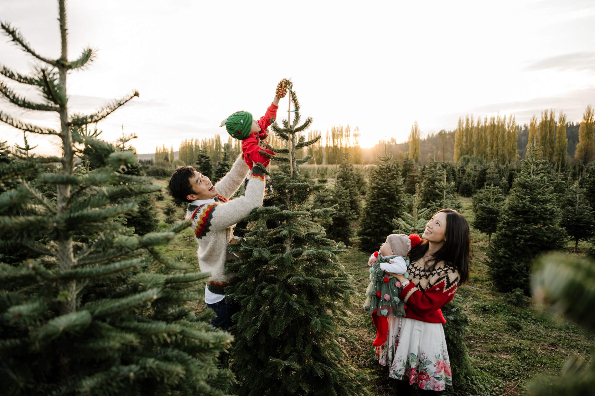 Father lifting child to decorate tree – Seattle holiday portraits of dad and son placing an ornament at a Christmas tree farm.