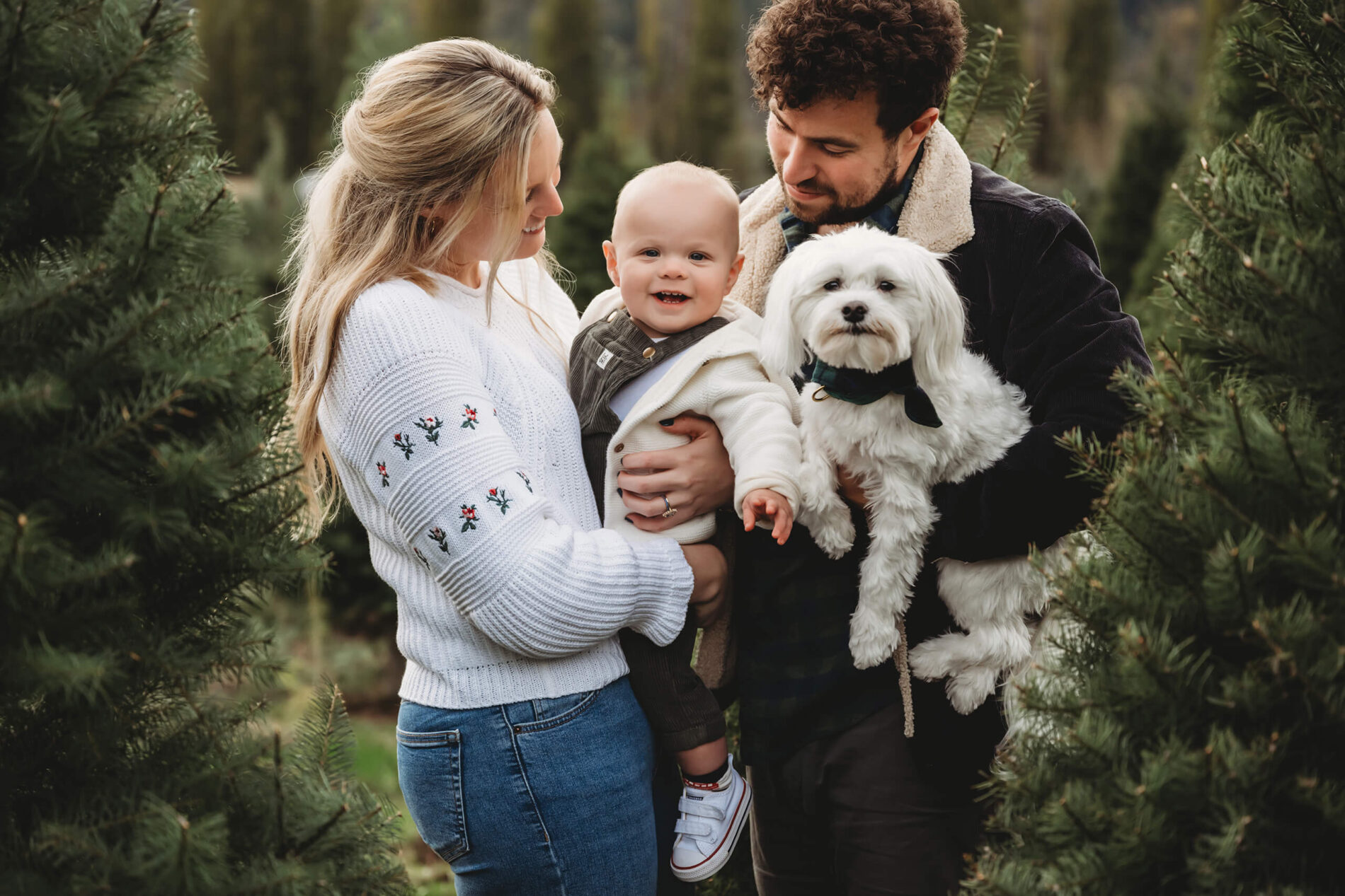 Family smiling with dog – Holiday portraits at Seattle Christmas tree farm featuring toddler and white dog.