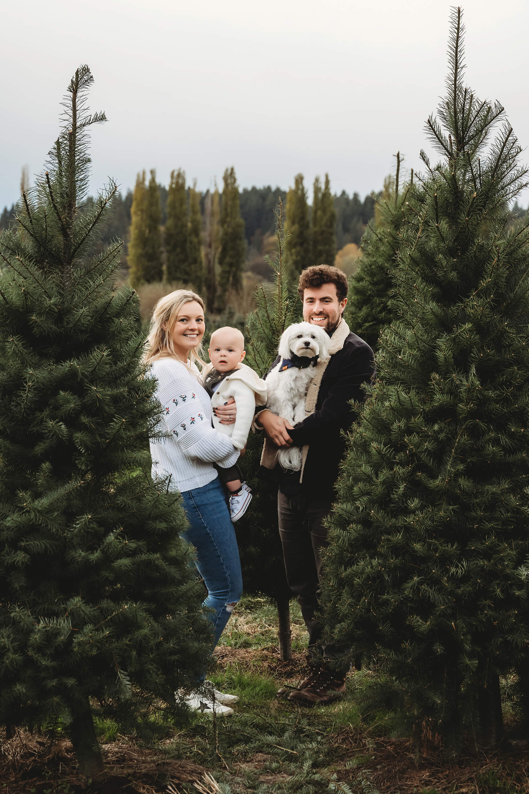 Family with baby and dog – Seattle Christmas tree farm family photos featuring parents, toddler, and pet dog.