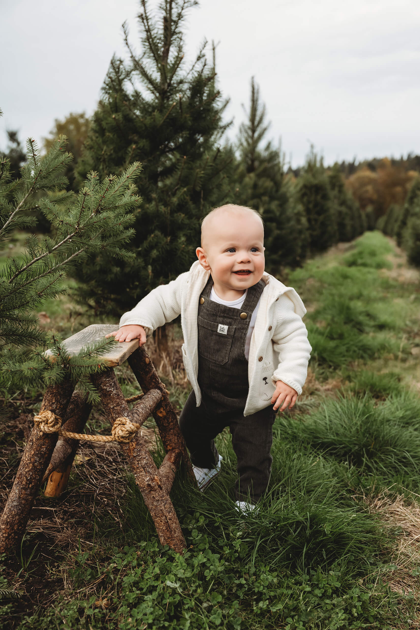 Toddler standing near a wooden ladder – Baby boy’s portrait during Seattle Christmas tree farm holiday photos.