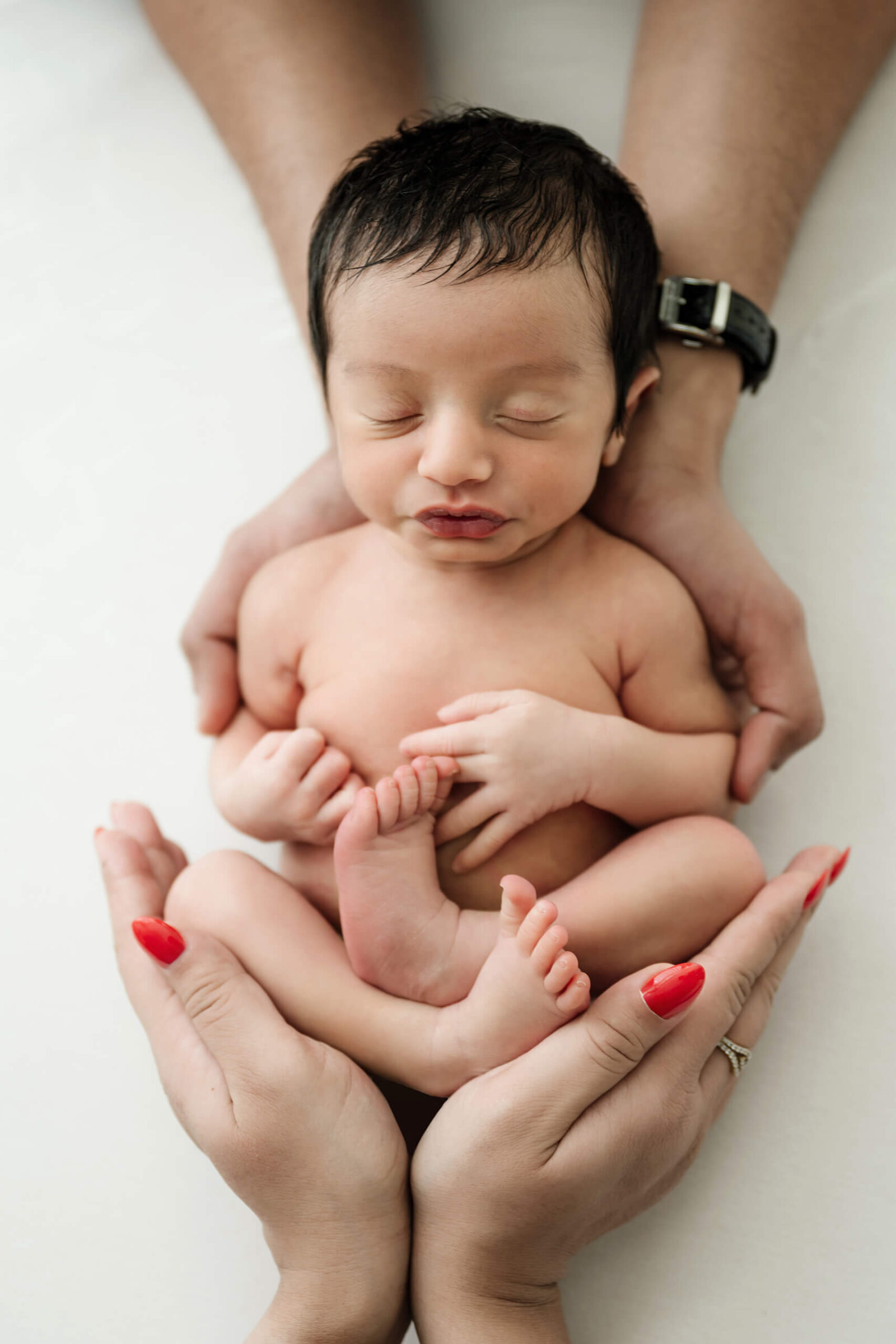 Seattle newborn photography with baby boy curled up in parents’ hands during studio session.