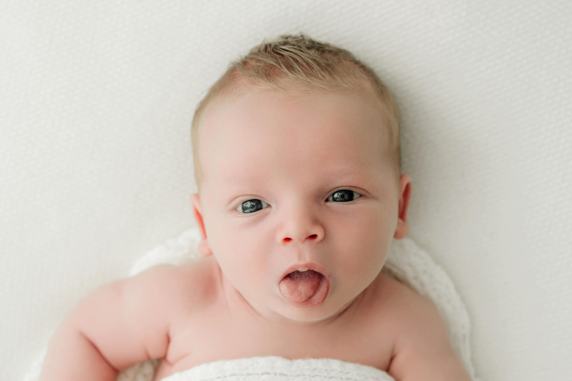 Close up of a baby sticking out their tongue on a white blanket during a Seattle newborn family photoshoot.