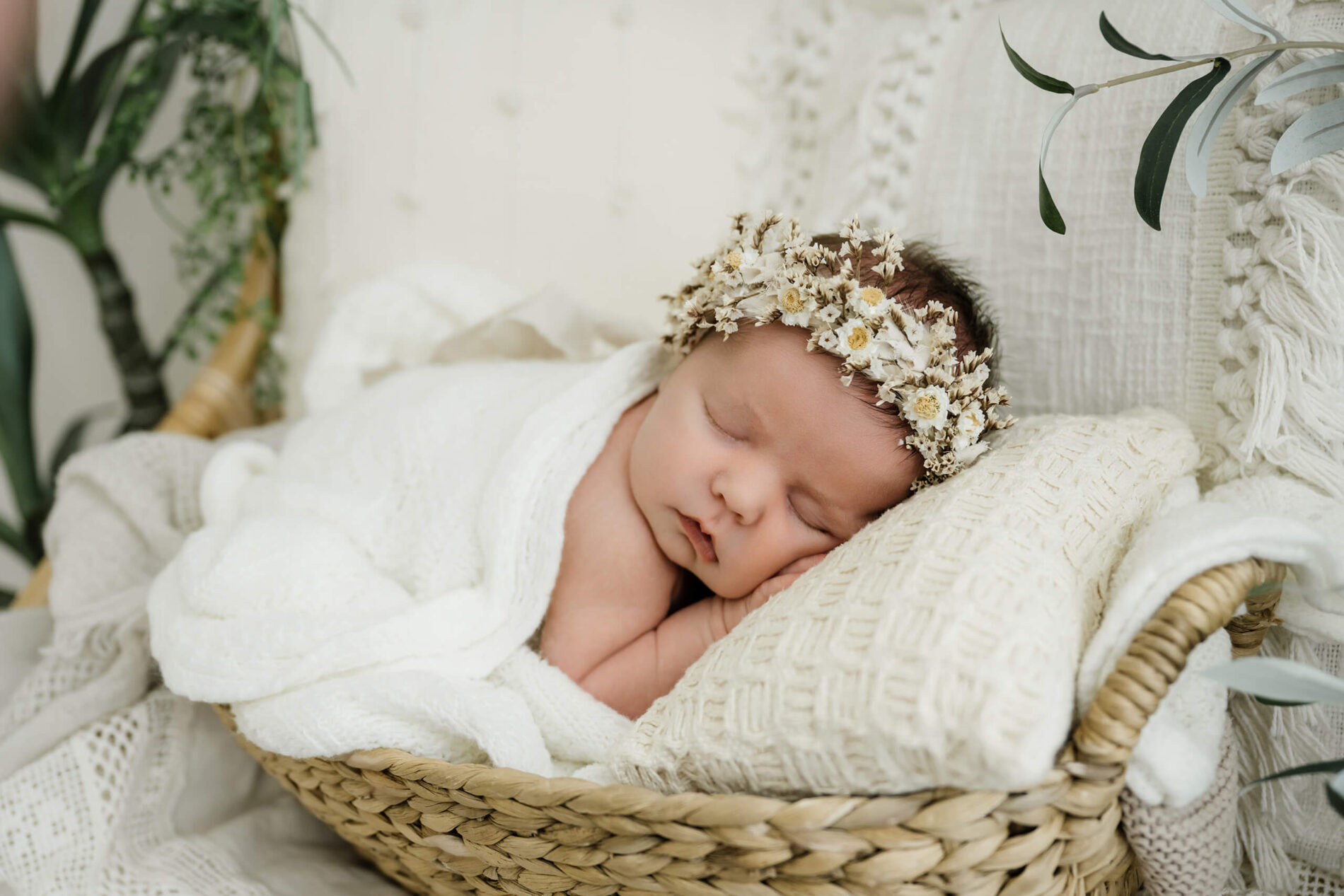 Newborn baby sleeping in a basket with white wrap and textured layers, Seattle newborn studio portrait.