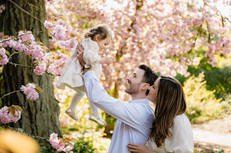 Dad lifts toddler daughter under pink cherry blossoms while mom smiles beside them at a Seattle spring family session.