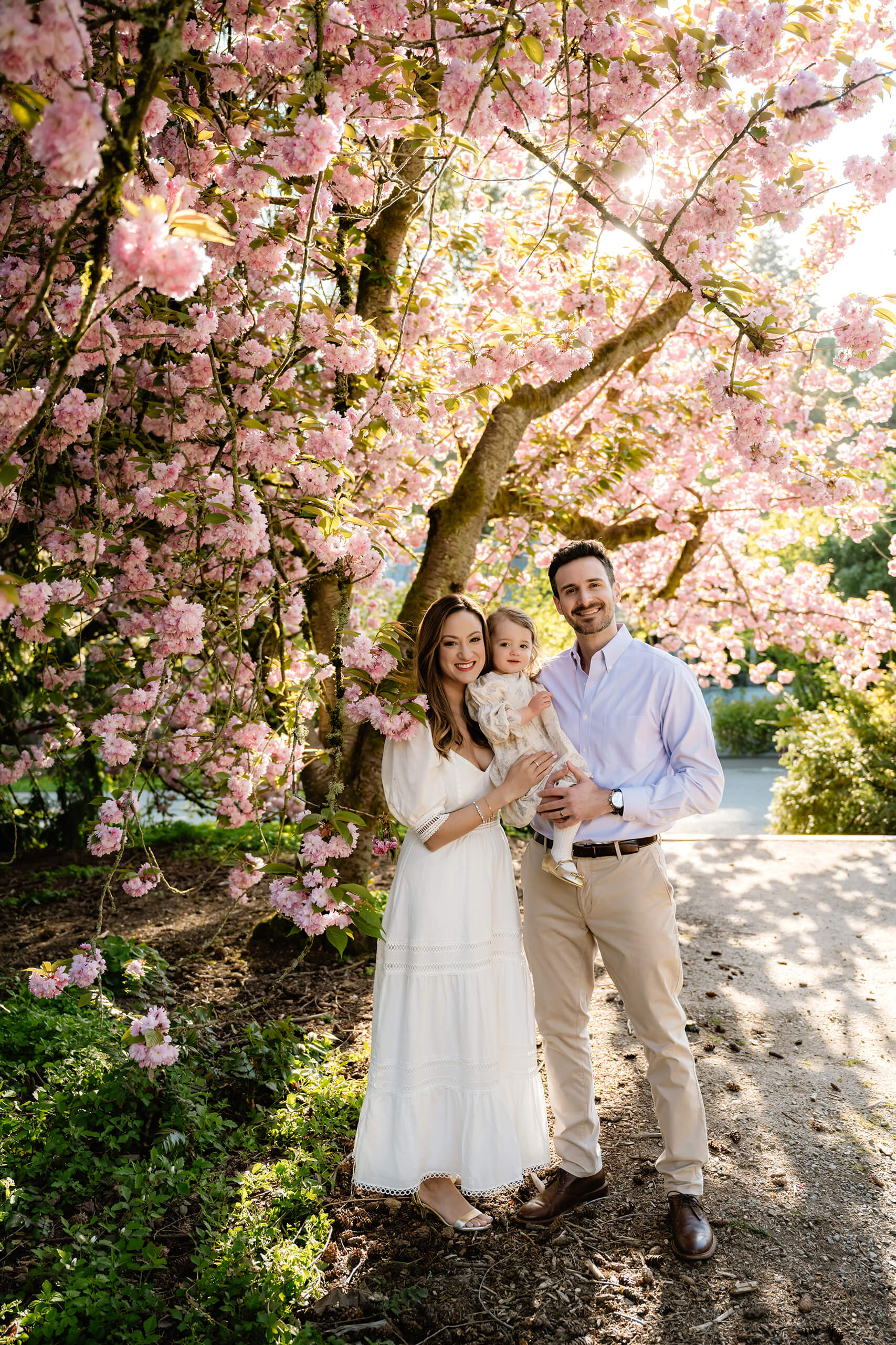 Seattle spring family photo session under pink cherry blossoms at Washington Park Arboretum