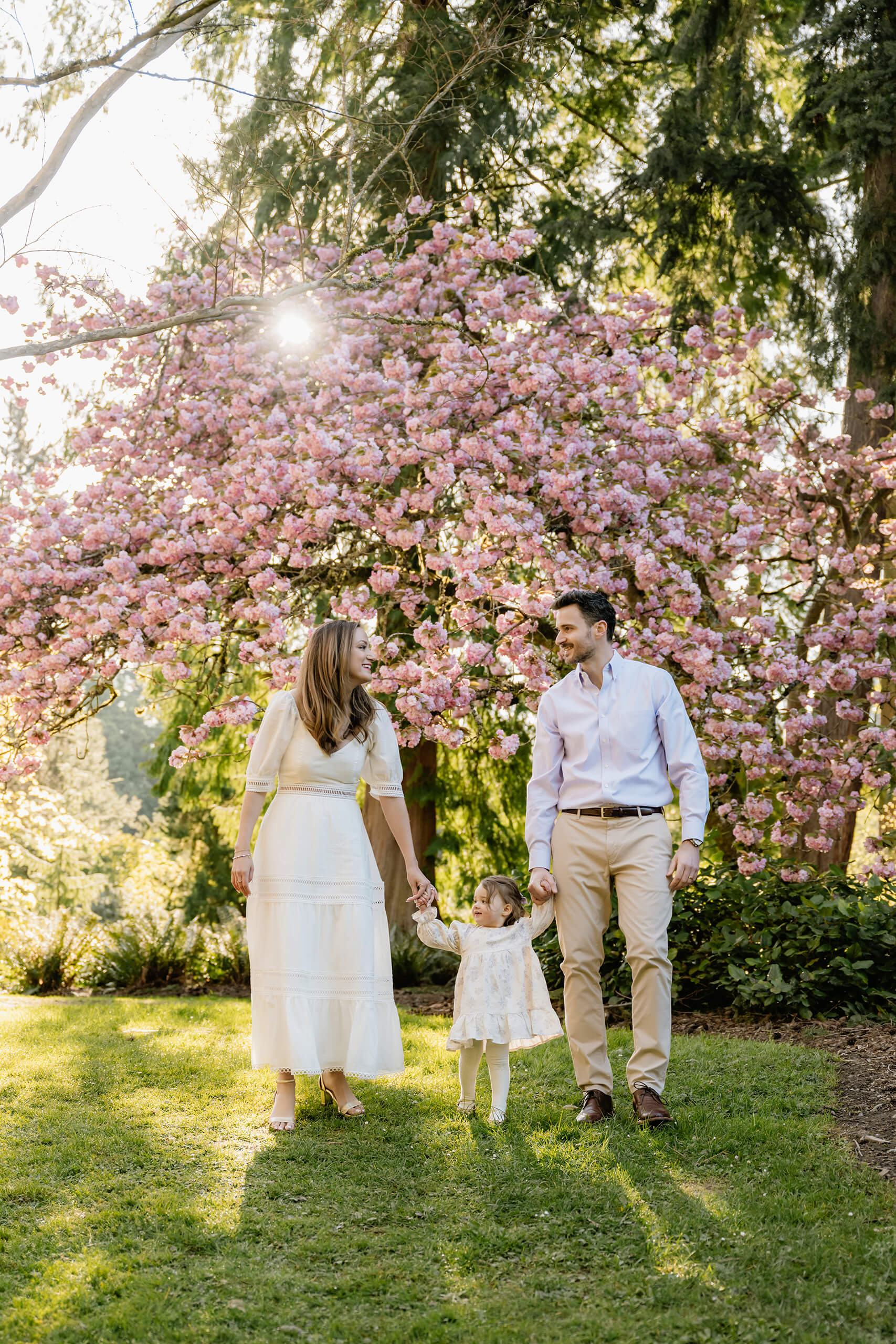 Family walking beneath cherry blossoms at Washington Park Arboretum during a Seattle spring family session