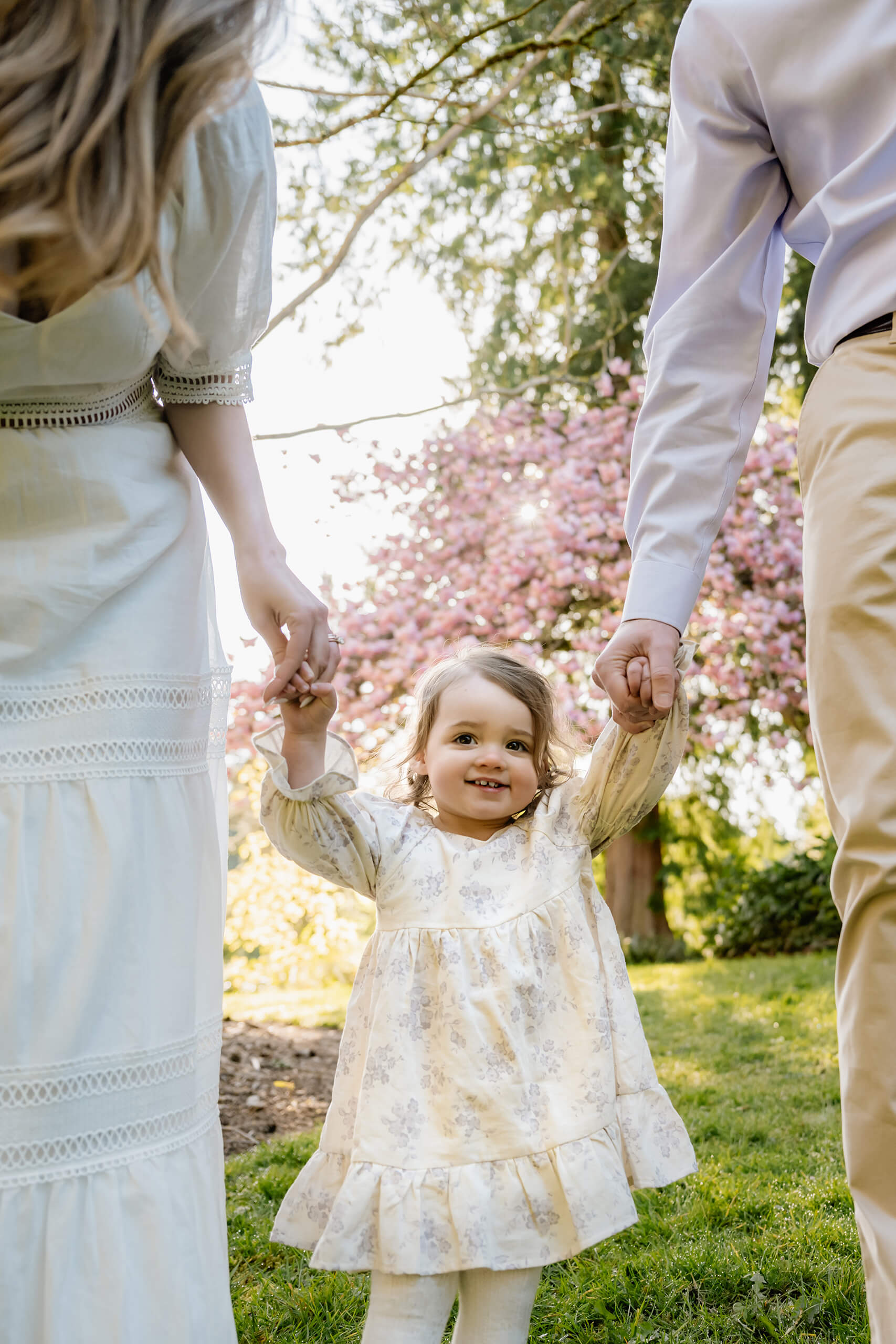 Toddler girl holding hands with her parents beneath blooming cherry blossoms during a Seattle spring family session
