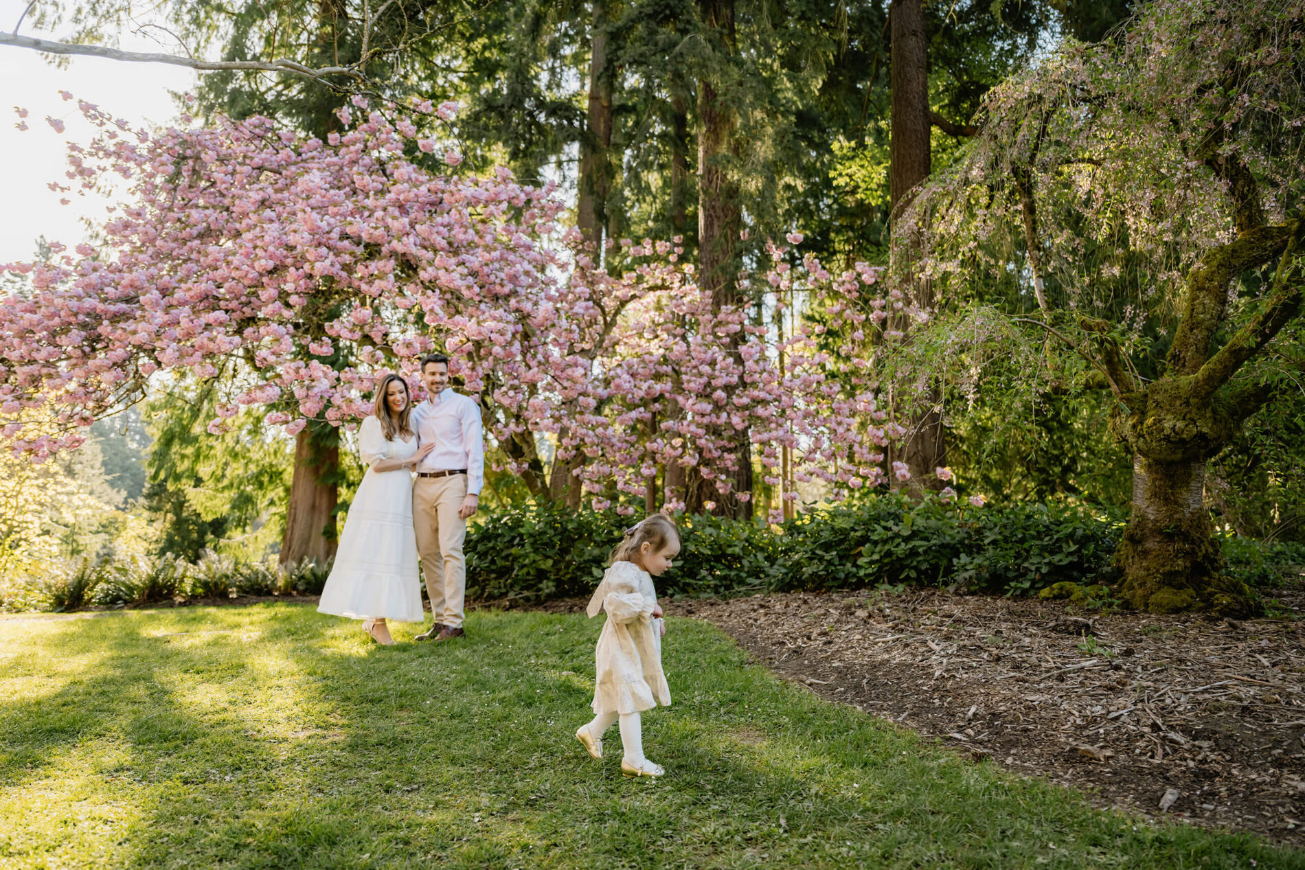 Toddler girl walking ahead of her parents in front of blooming pink cherry blossom trees at Washington Park Arboretum