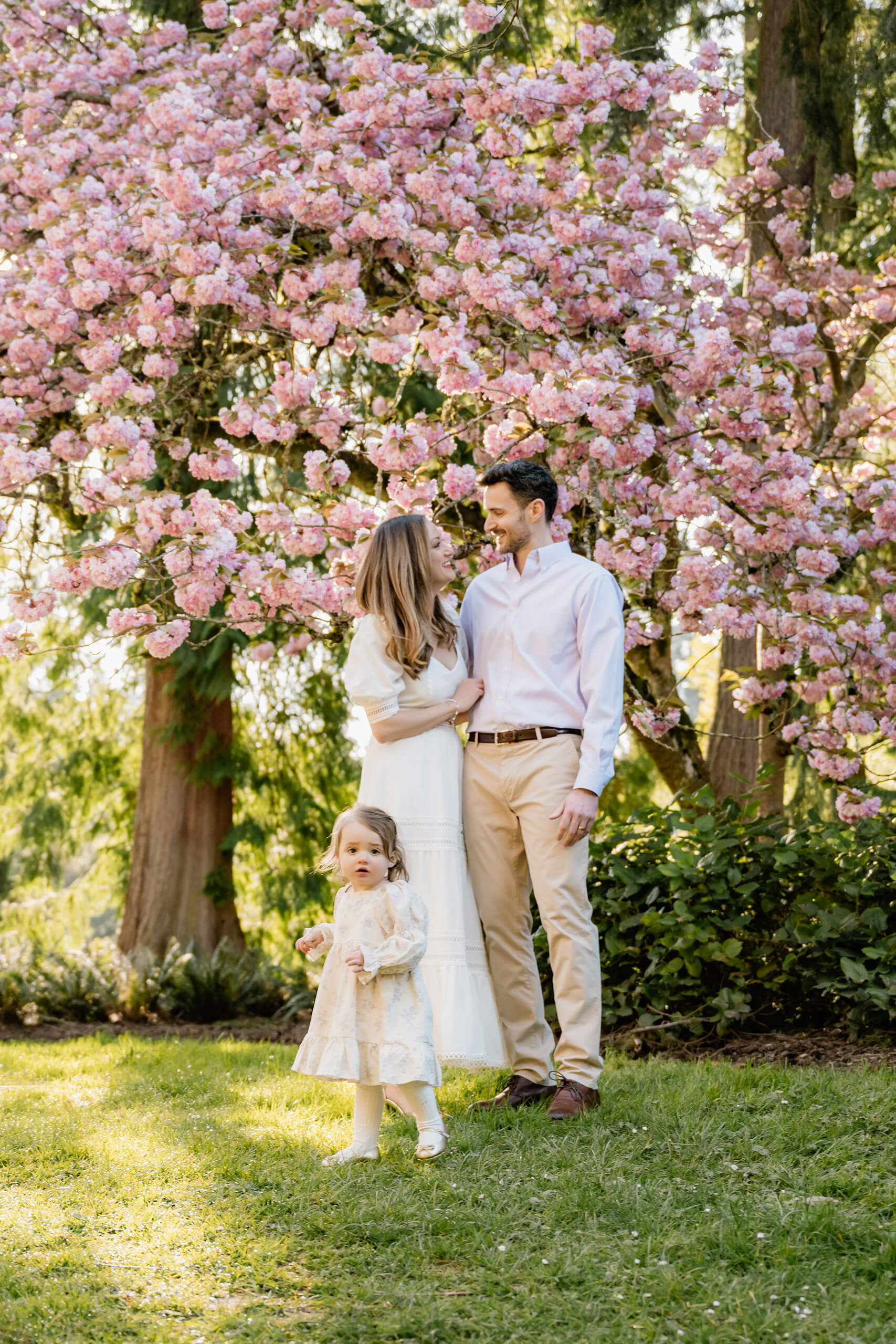 Family of three standing beneath pink cherry blossoms while their toddler explores the grass in front of them