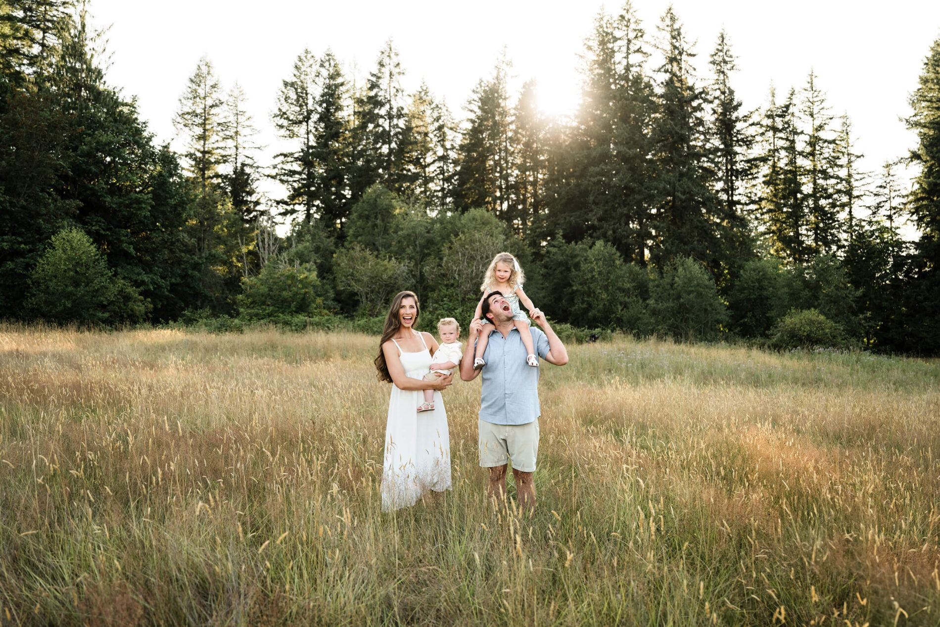 Family of four standing in a wide golden field with evergreen trees in the background.
