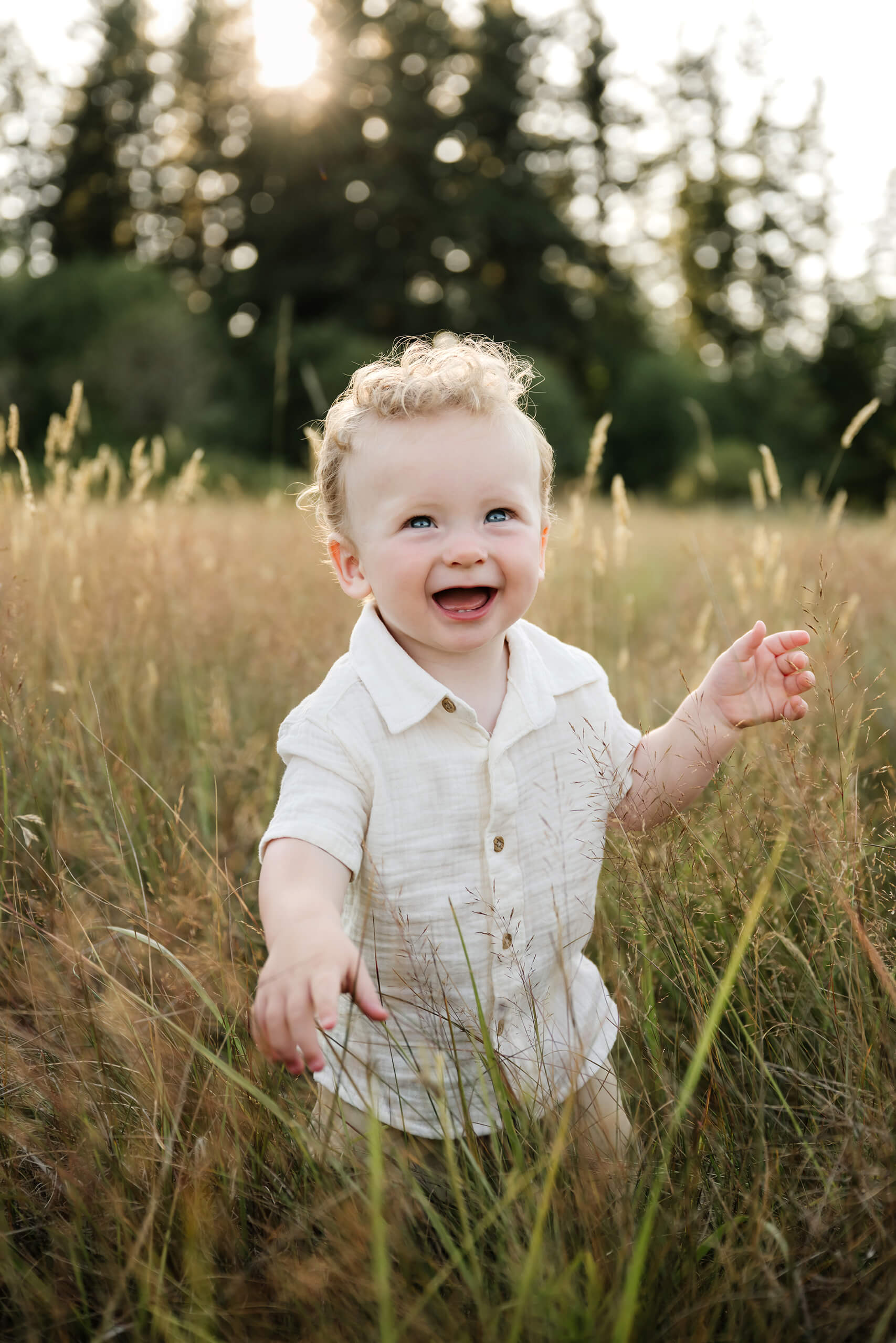 Smiling toddler standing in tall golden grass with evergreen trees in the background.