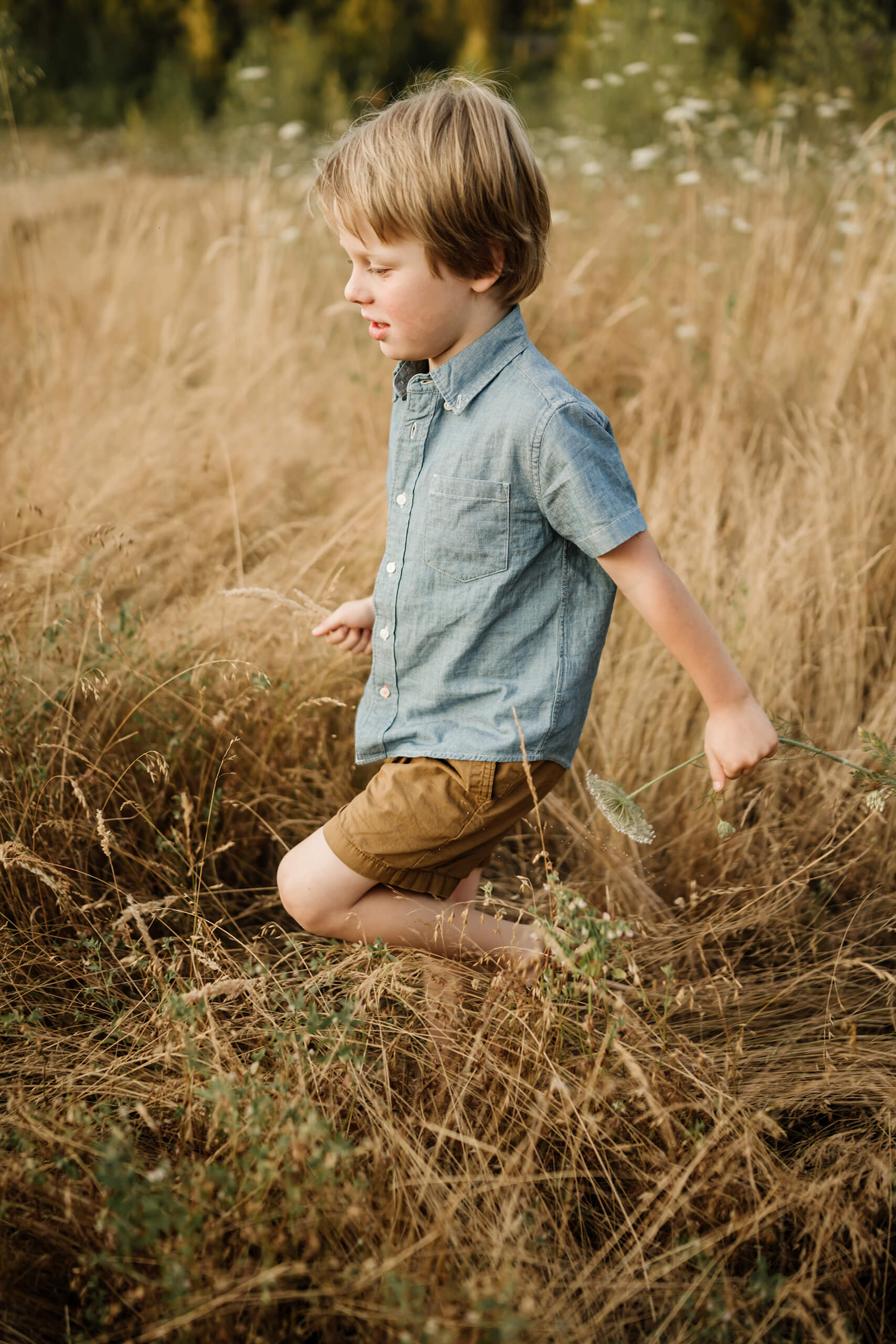 Young boy walking through tall golden grass while holding a wildflower stem.