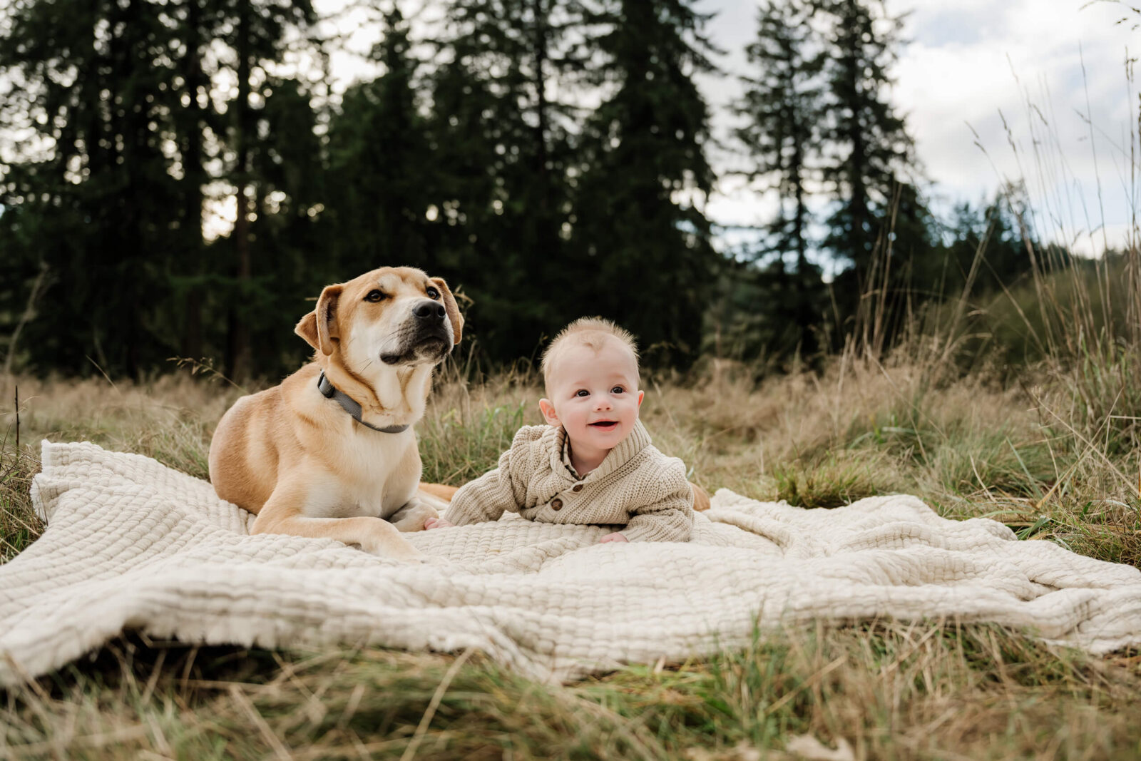 Baby lying on a blanket beside the family dog in a grassy field during a Mercer Island family photography session.