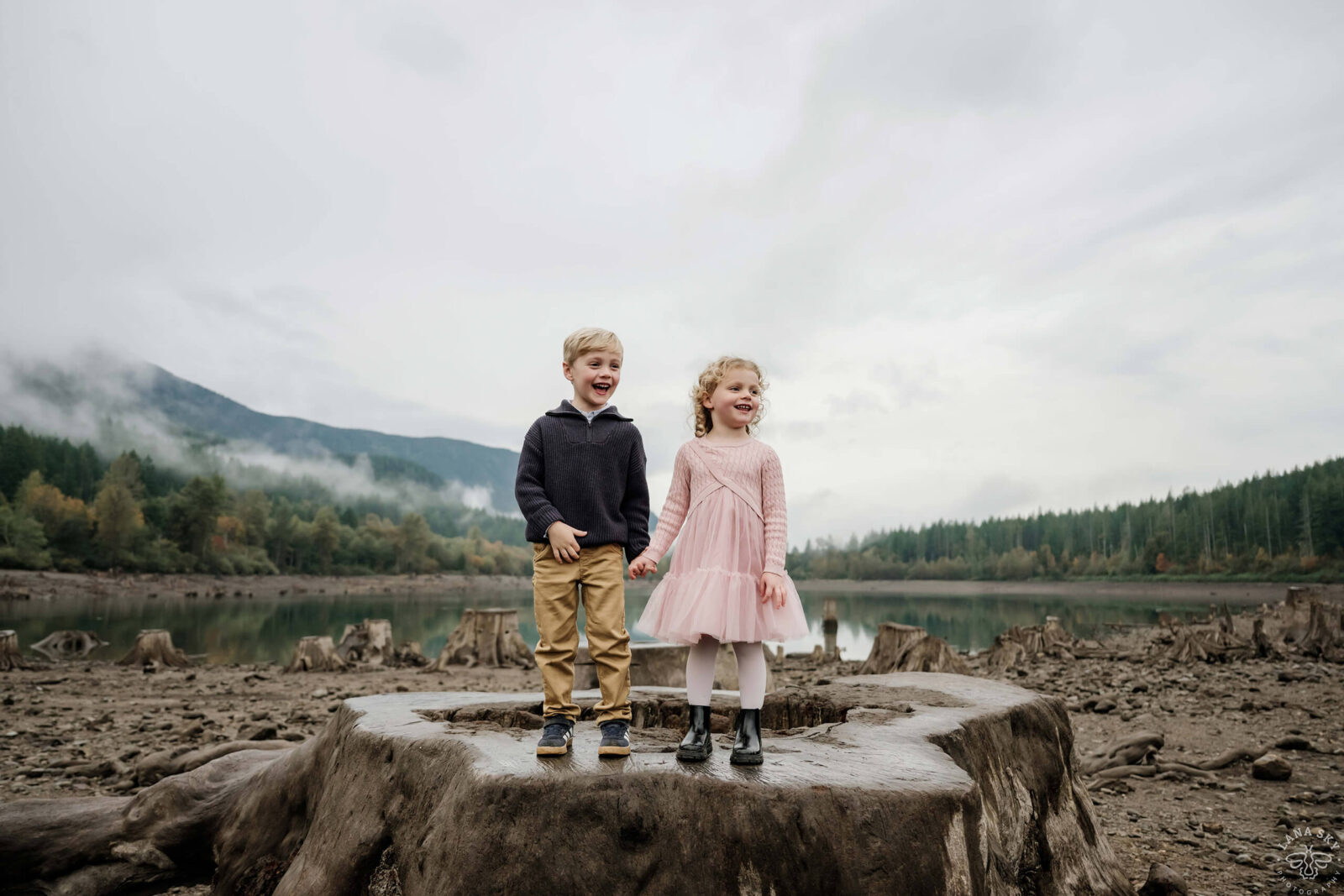 Two children holding hands on a large tree stump by a misty mountain lake.