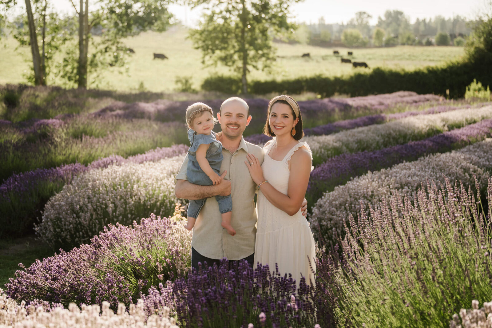 Family of three standing together in blooming lavender rows during a warm evening lavender farm session.