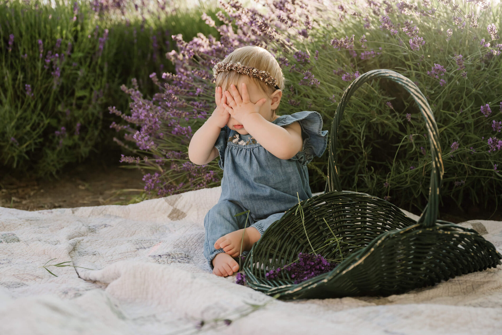 Toddler covering her face while sitting on a quilt next to a basket of lavender.