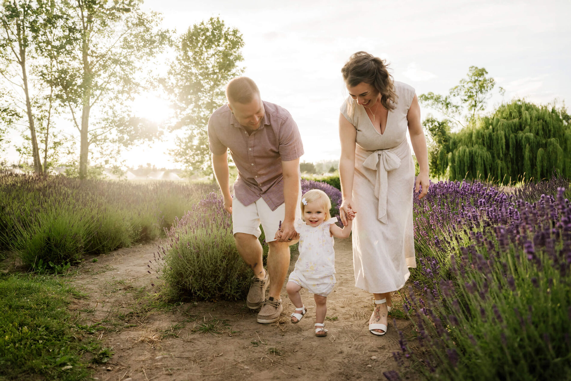 Parents walking hand in hand with their toddler along a lavender farm path.